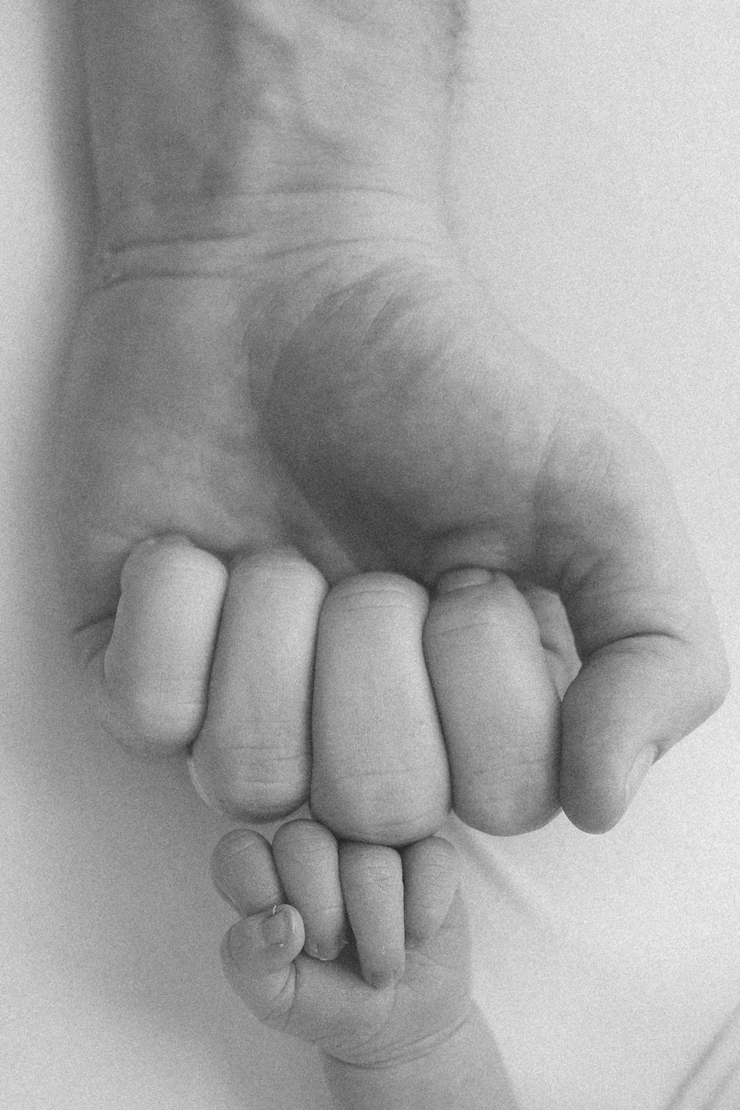 newborn photos by annaclaire studio sydney  (3).JPG