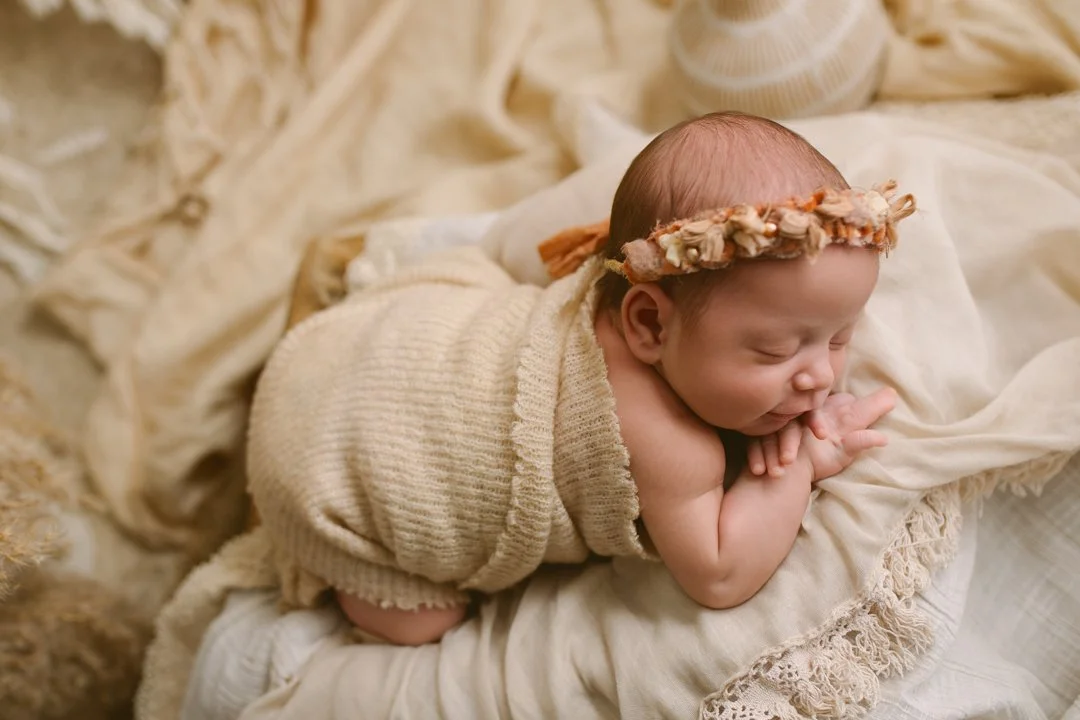 newborn photos by annaclaire studio sydney (2).JPG