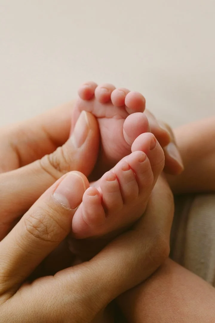 bump to baby photos by annaclaire studio sydney (18).JPG