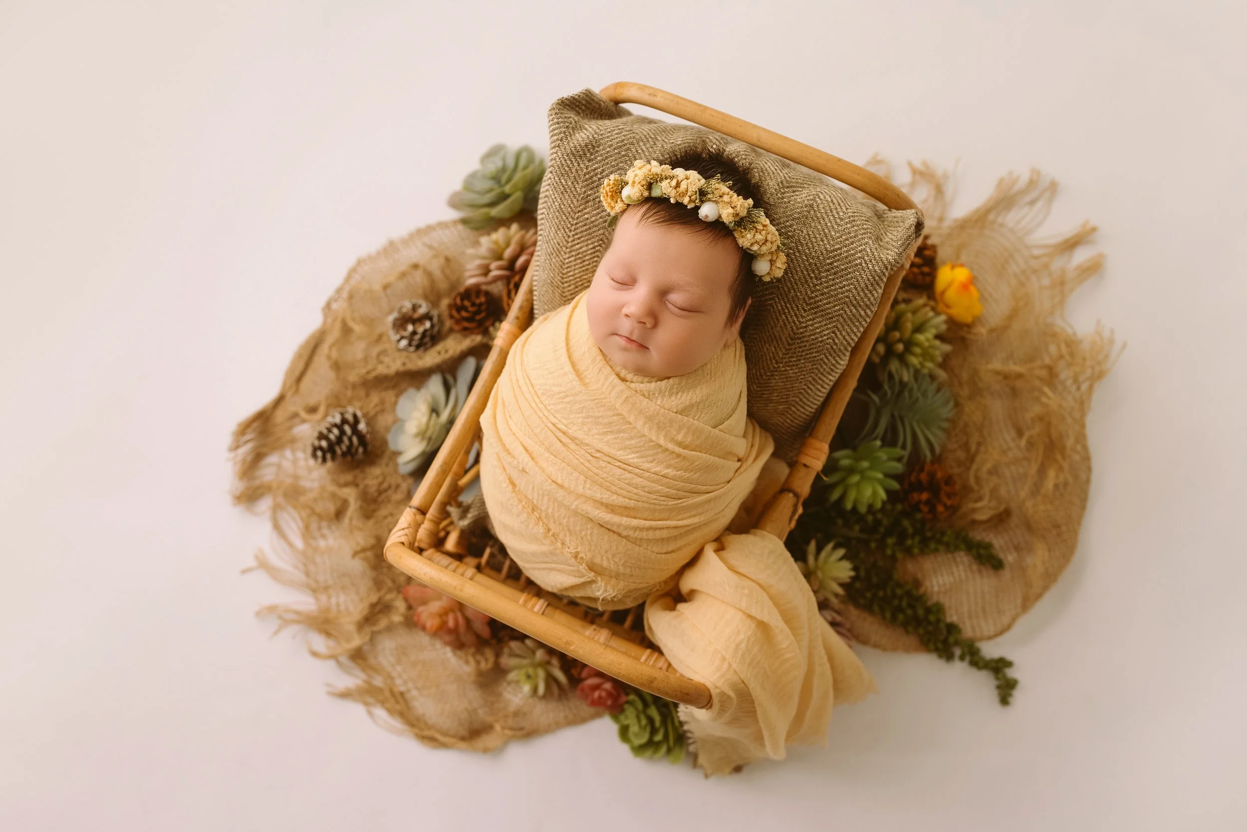 newborn photos by annaclariestudio sydney .JPG