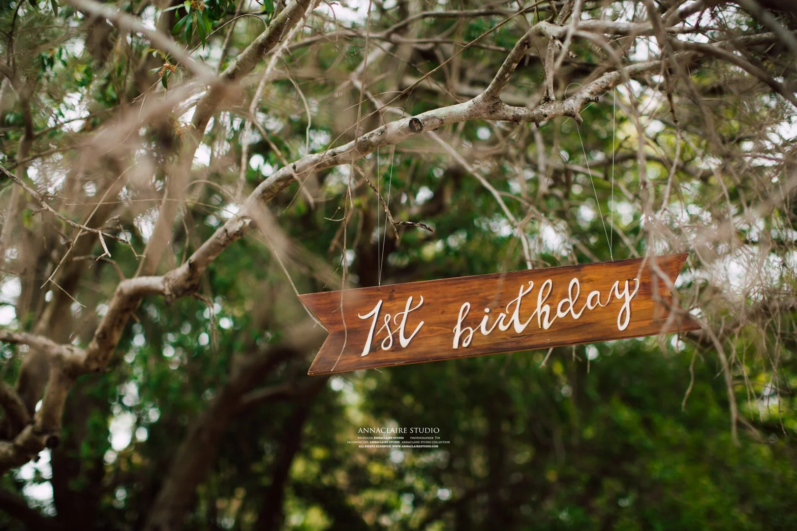 1st birthday party by annaclaire studio sydney (17 of 194).JPG