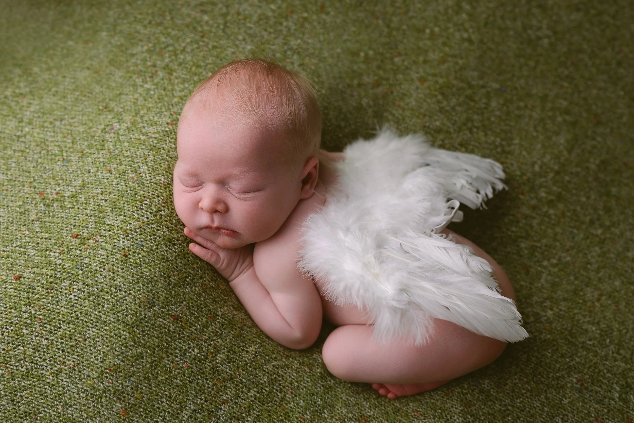 newborn photos by annaclaire studio (15).JPG