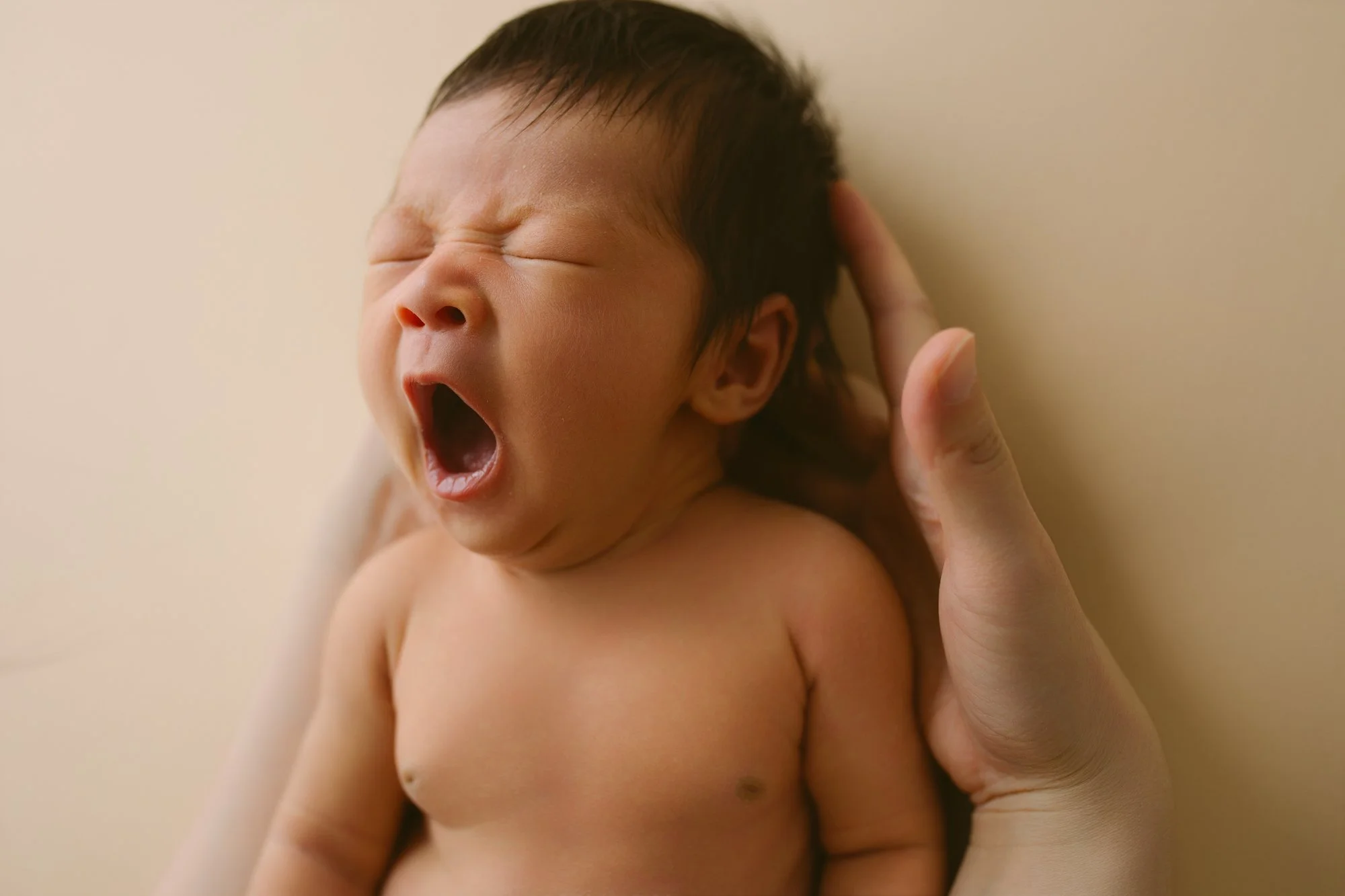 newborn photos by annaclaire studio sydney  (12).JPG