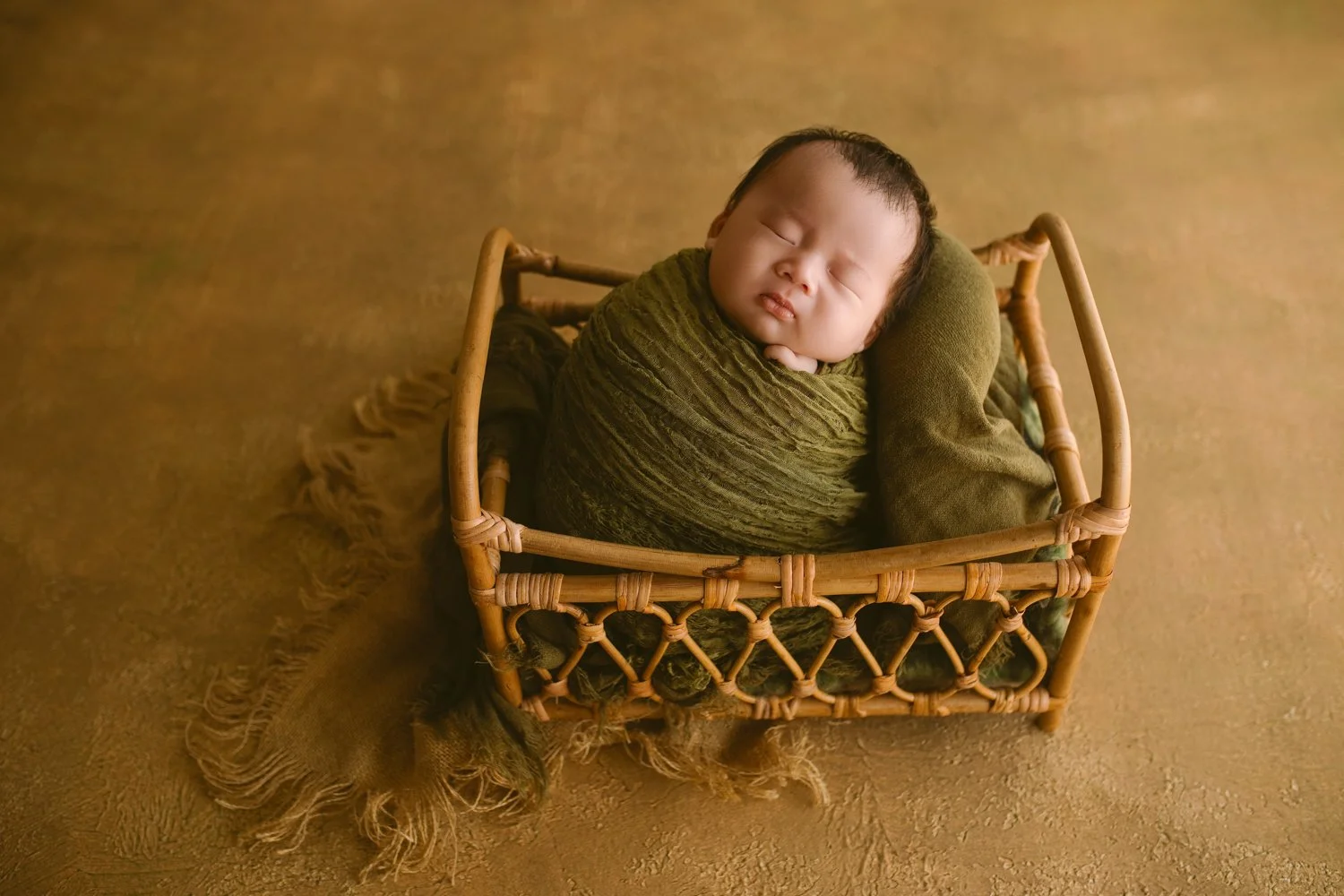 Newborn photos by annaclaire studio sydney (581).JPG