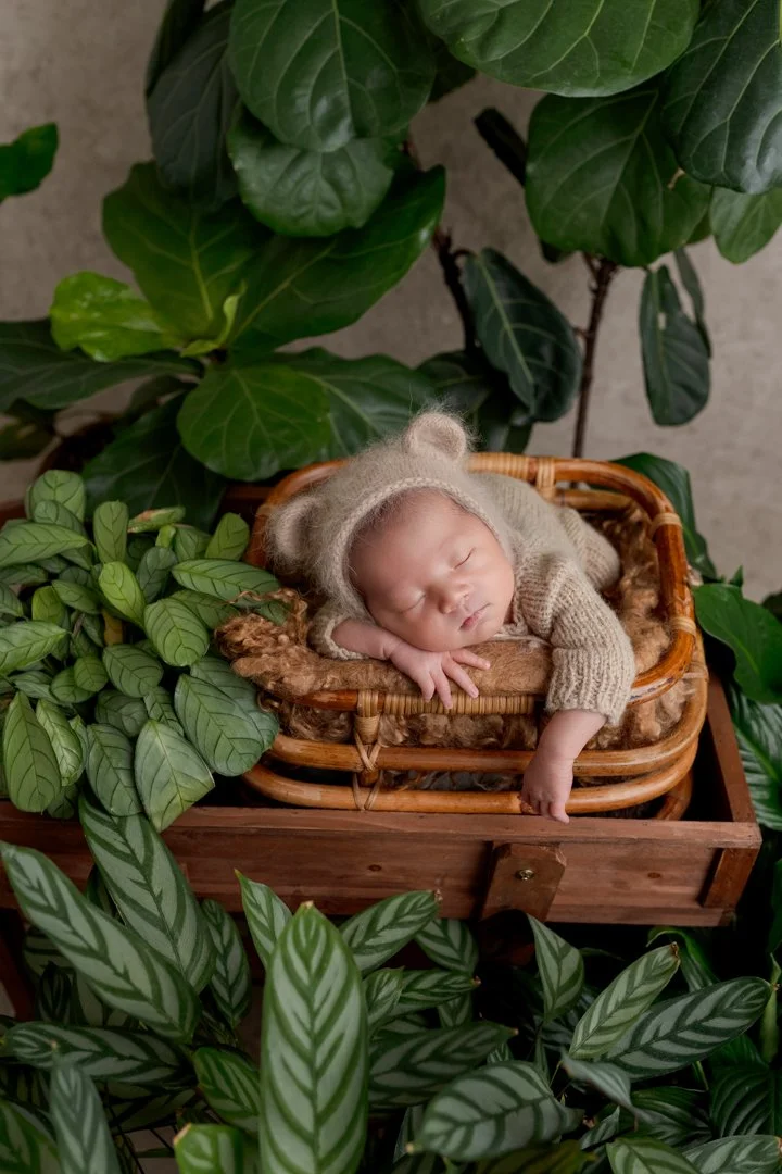 A sleeping baby wearing a cozy knit hat and sweater, lying in a wicker basket surrounded by lush green plants.