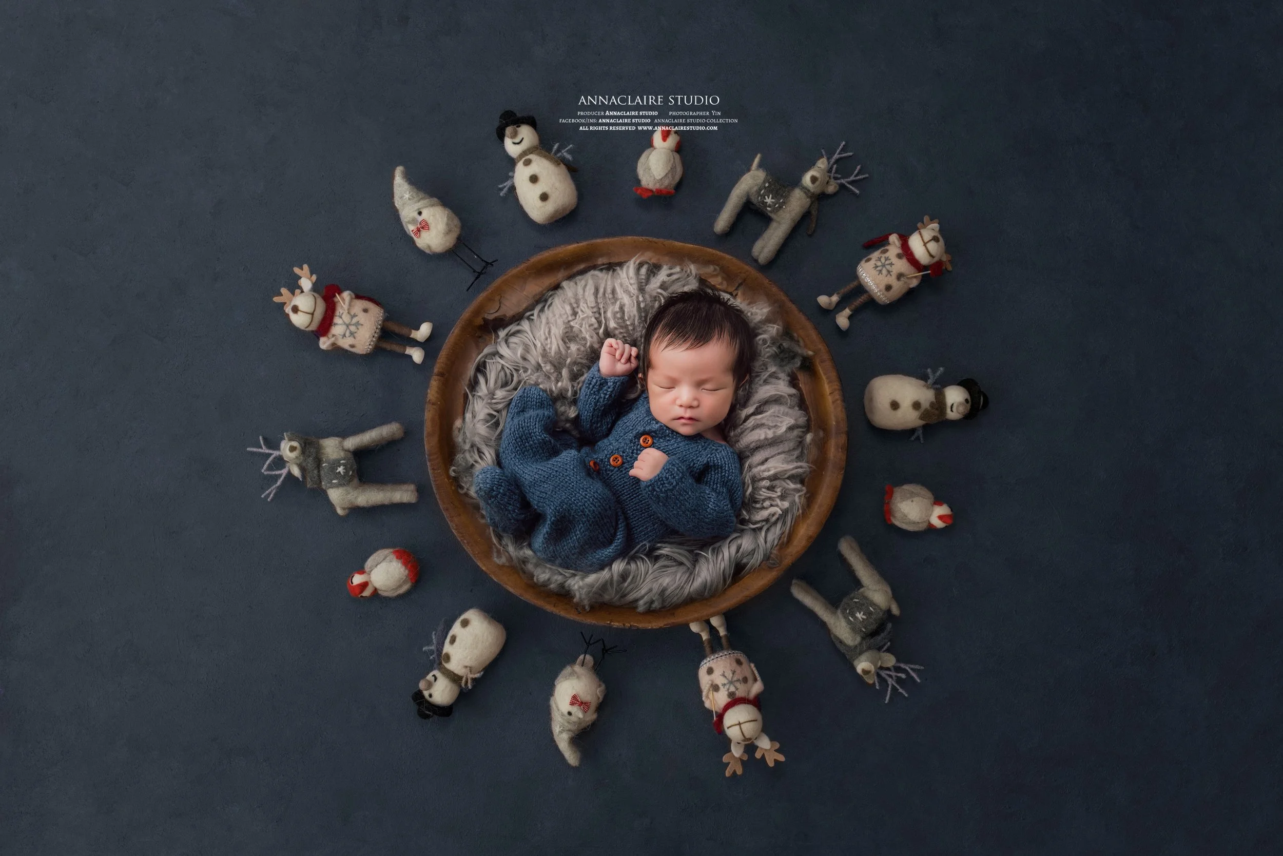 newborn photos digital background (2).JPG