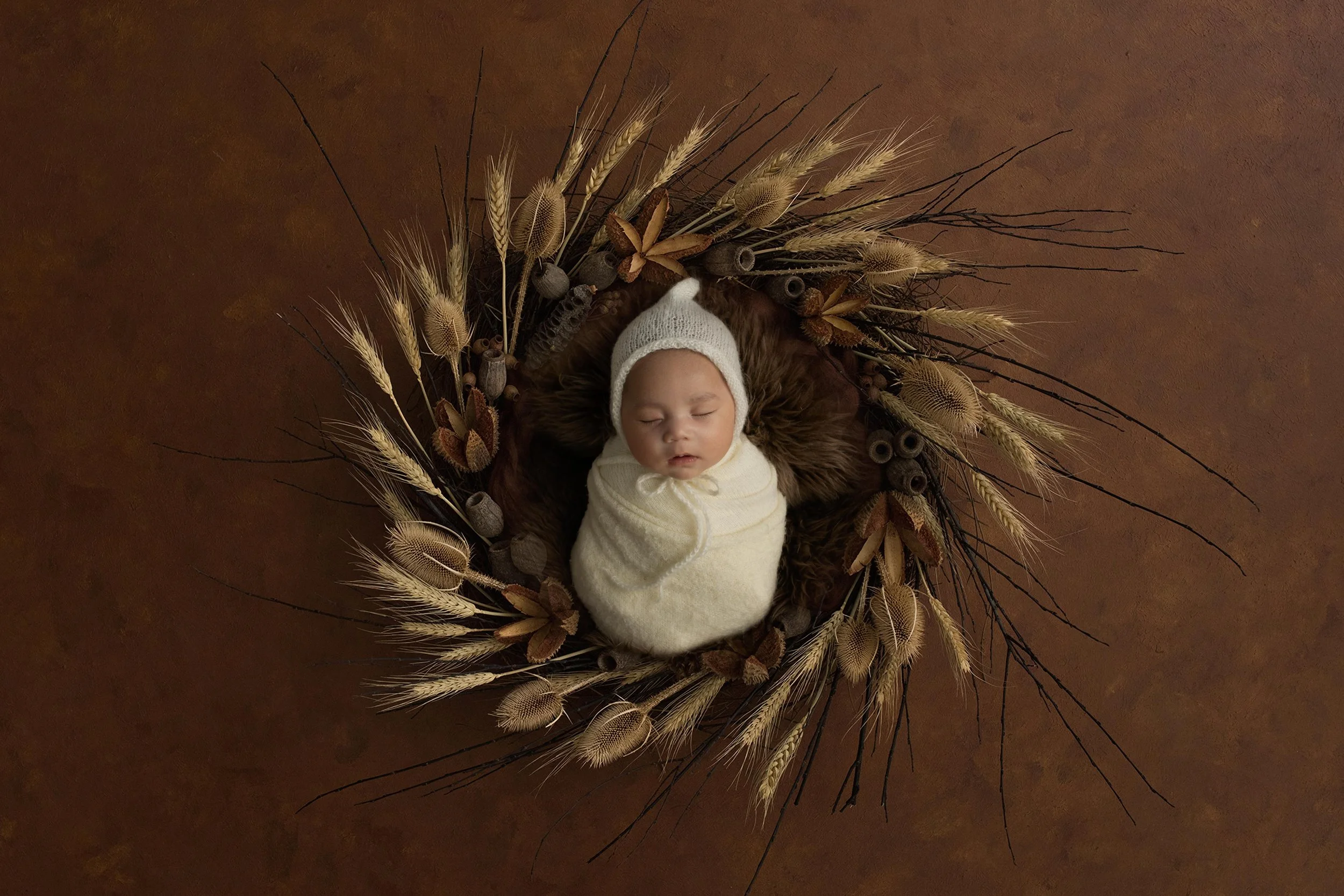 AnnaClaire Studio Digital Backgrounds  (2).JPG