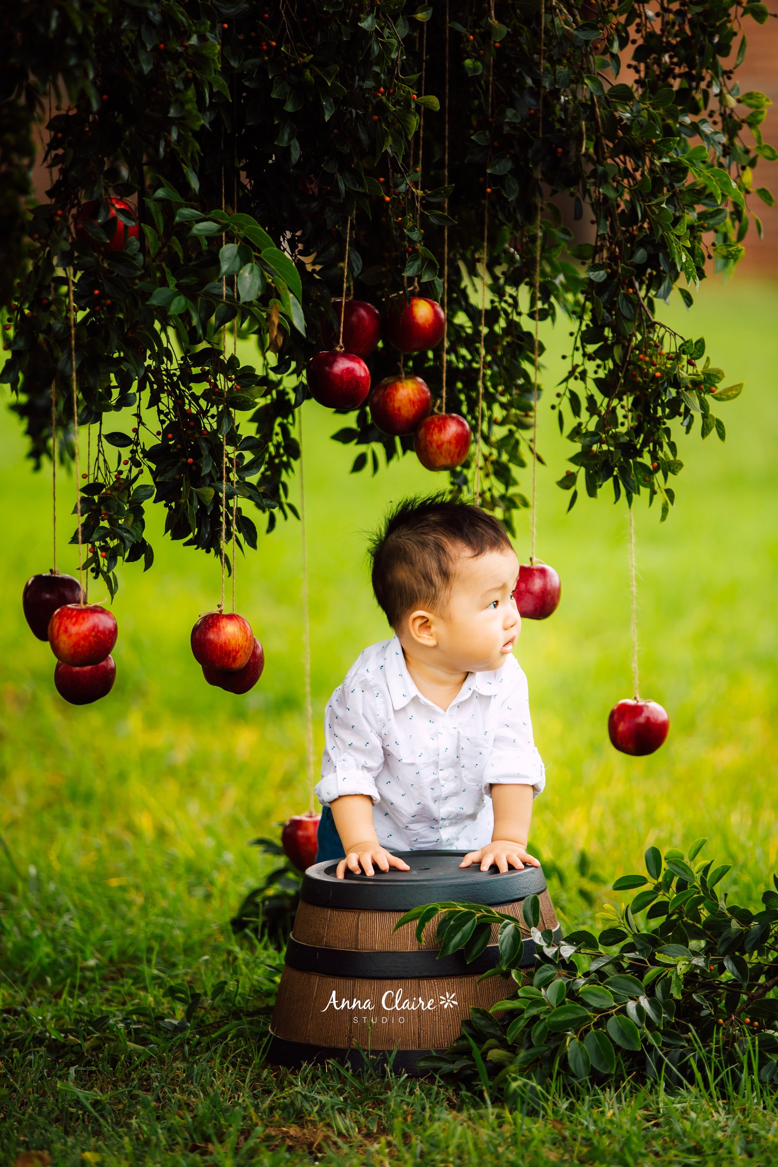 A young child in a white shirt crawling on a wooden barrel under an apple tree with hanging red apples
