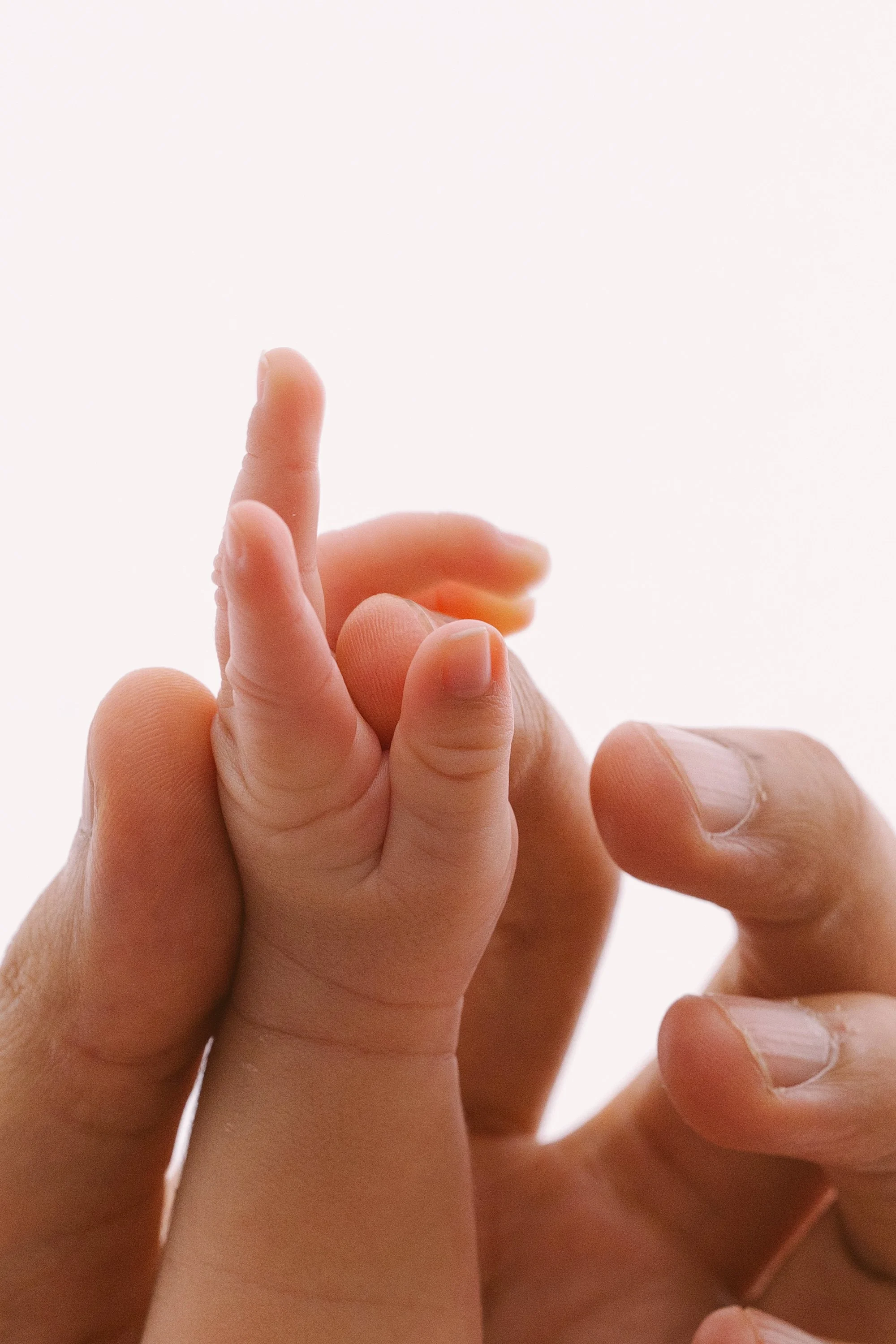 newborn photos by annaclaire studio sydney  (2).JPG