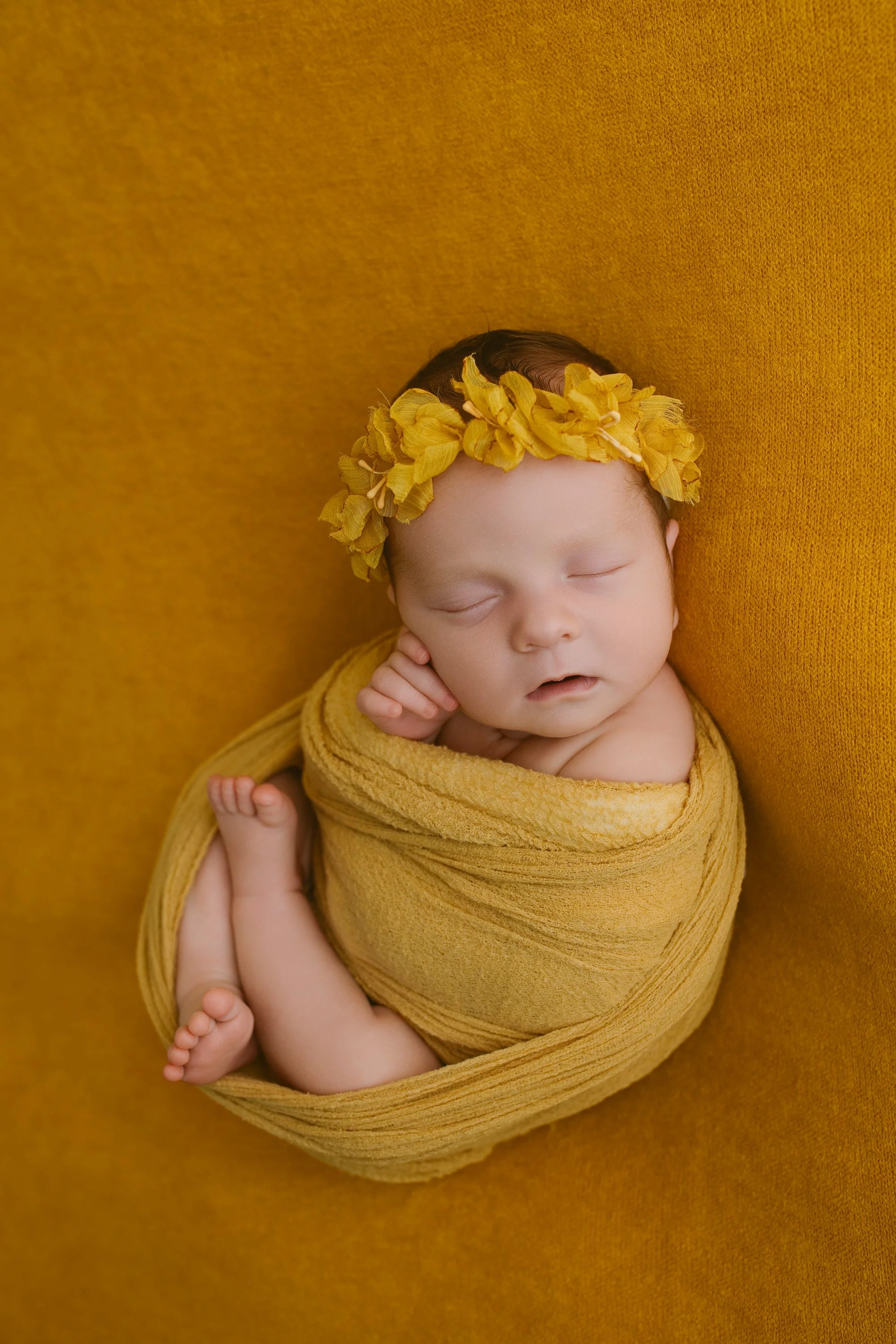 newborn photos by annaclaire studio sydney  (1).JPG
