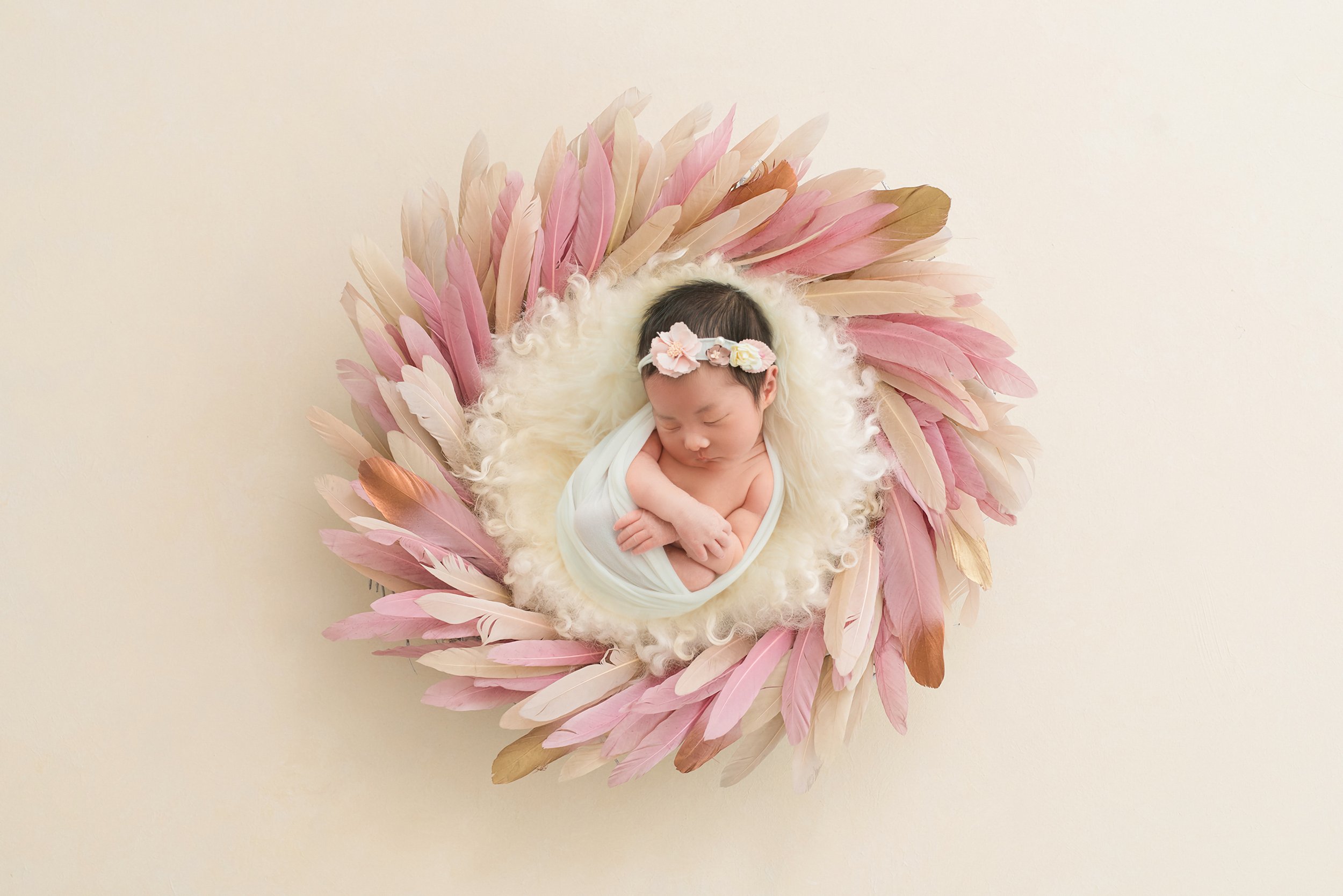 digital background by annaclaire studio  (1).jpg