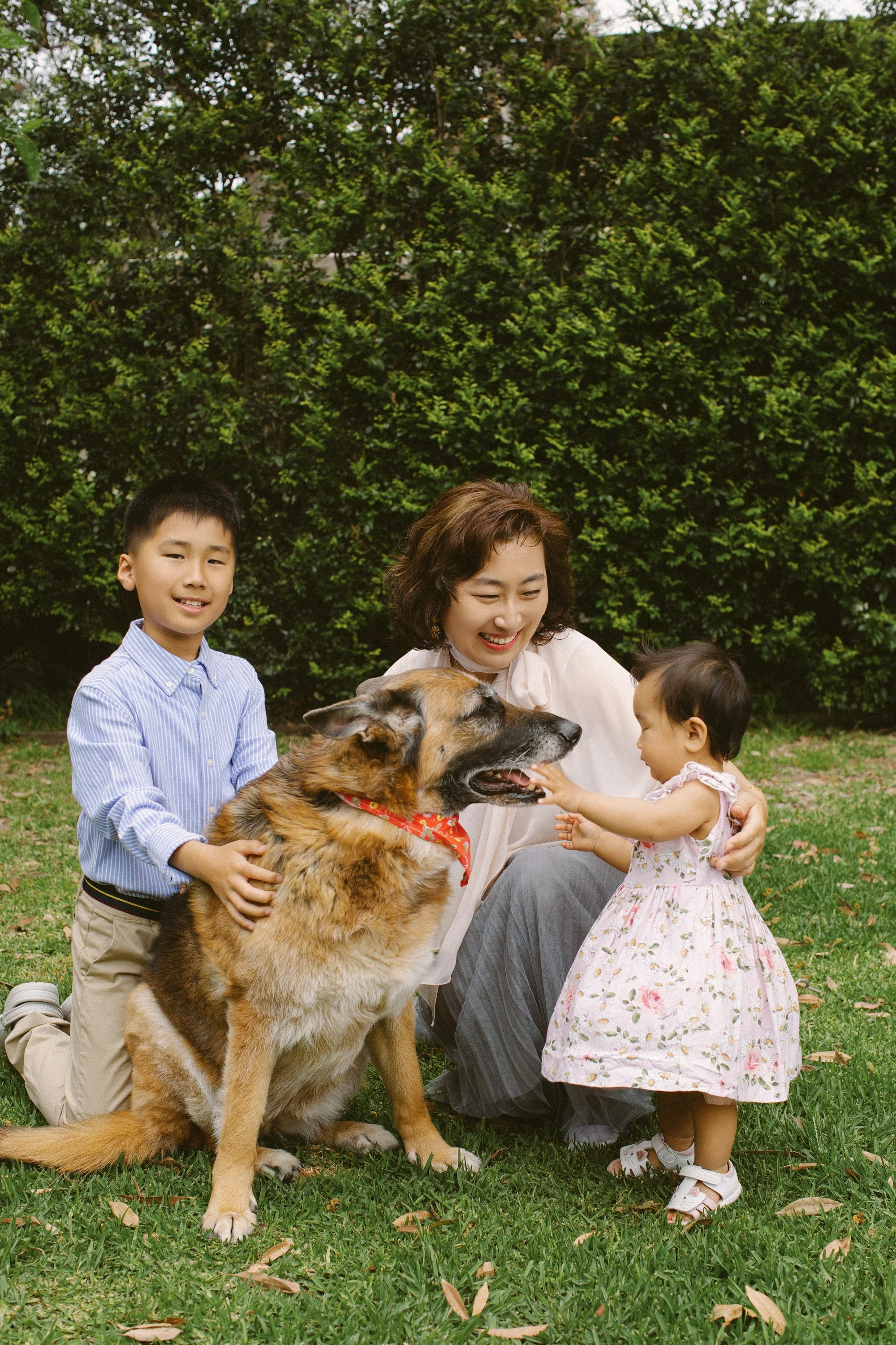 Sofia zhao 2020 (16).JPG