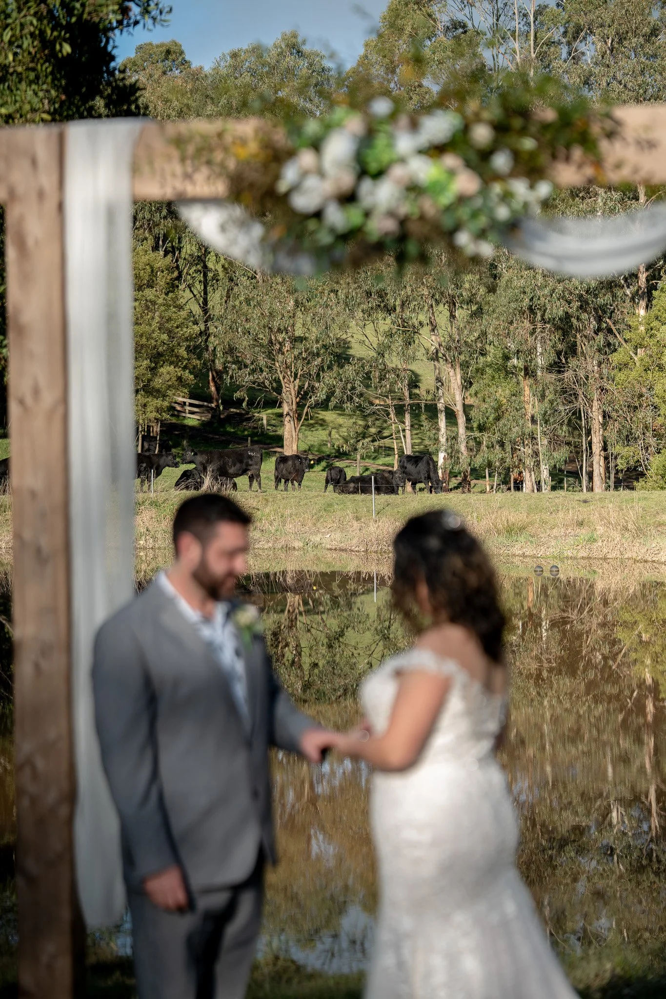 A blurred image of a bride and groom holding hands, with a scenic outdoor background of trees, a pond, and grazing cows, during a wedding ceremony.