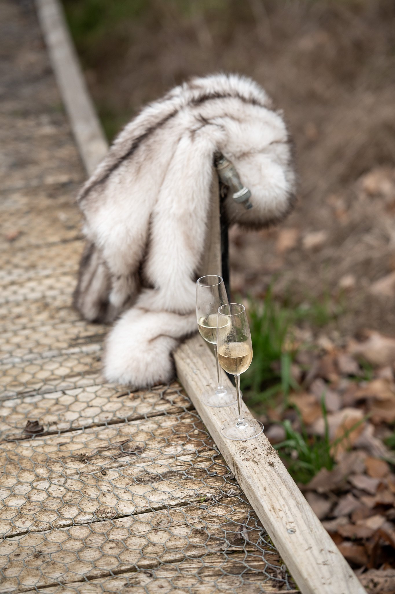 A white and gray fluffy rabbit with long ears, a metal screw head in its mouth, and a glass of champagne or sparkling wine in front of it, outdoors on a wooden and wire mesh surface with a blurred background.