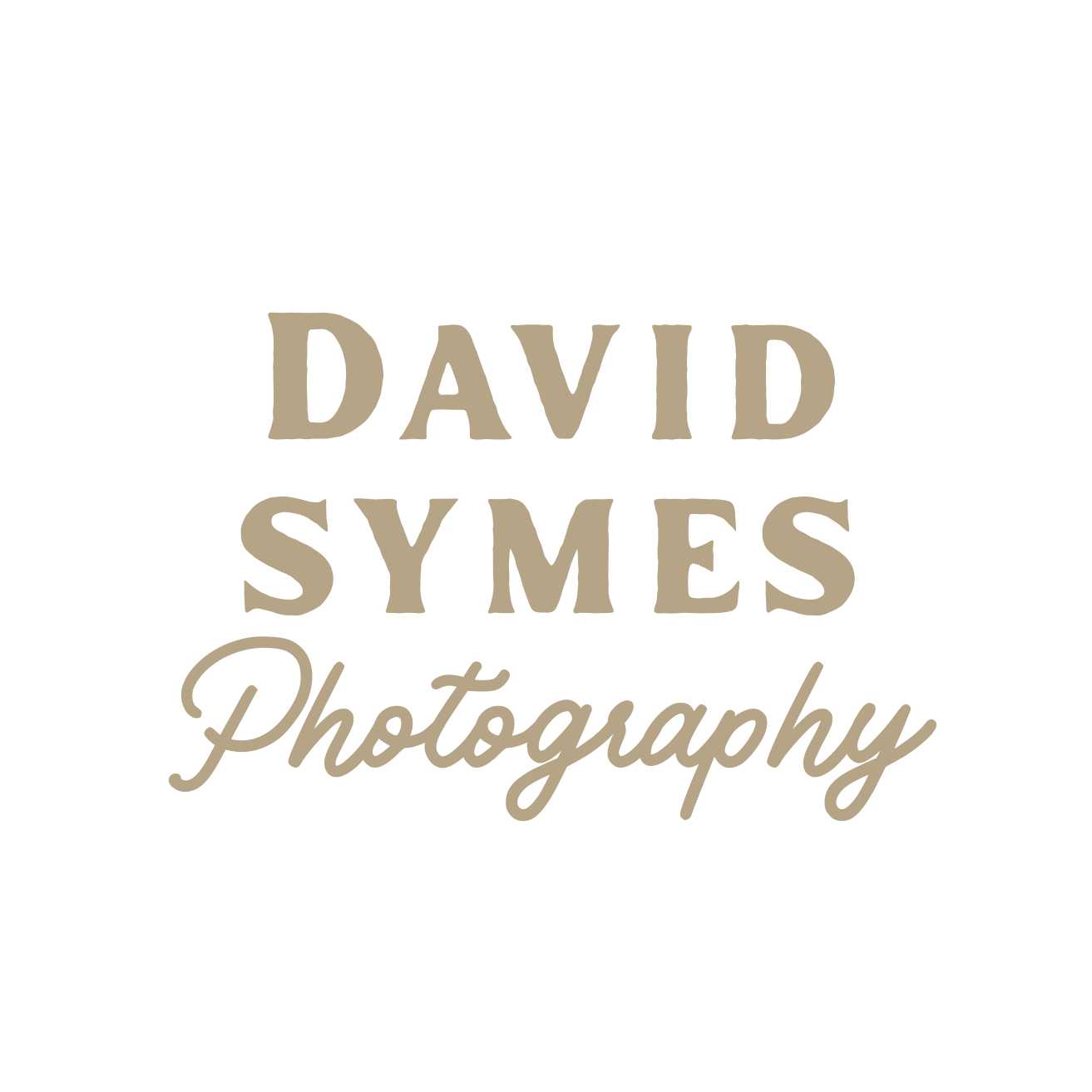 Logo with the text 'David Symes Photography' in beige font on a black background.