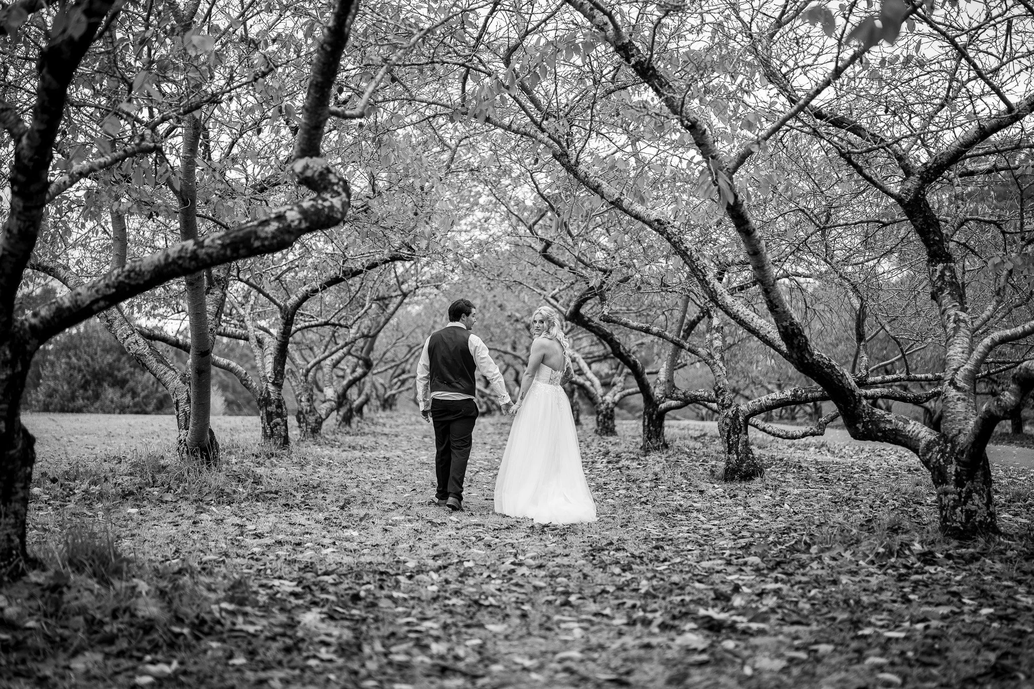 A black-and-white photograph of a newlywed couple walking hand in hand through an orchard with leafless trees, with the bride wearing a long wedding dress and the groom in a suit.