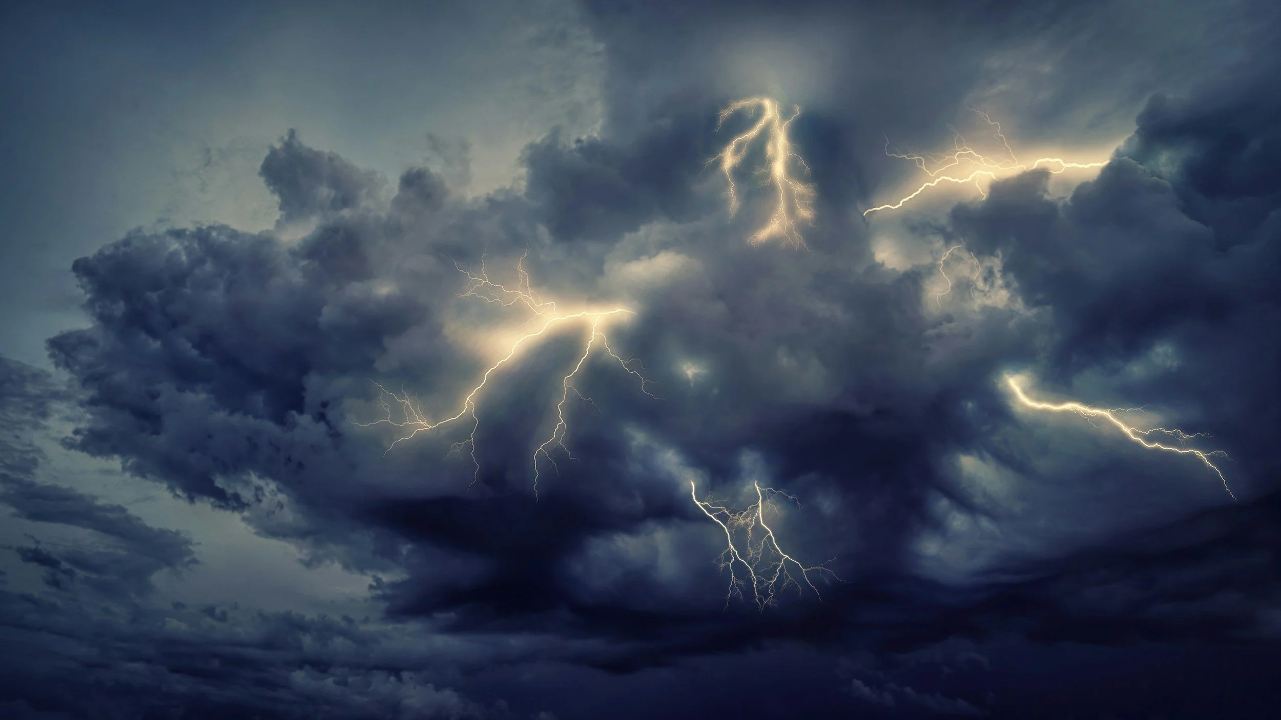 Dog Thunderstorm Anxiety Perth | Signs, Causes &amp; Vet-Led Treatment