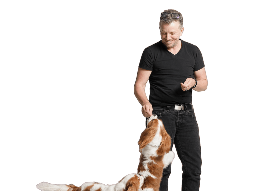 Pet Behaviour Specialist Joondalup &amp; Northern Suburbs Perth