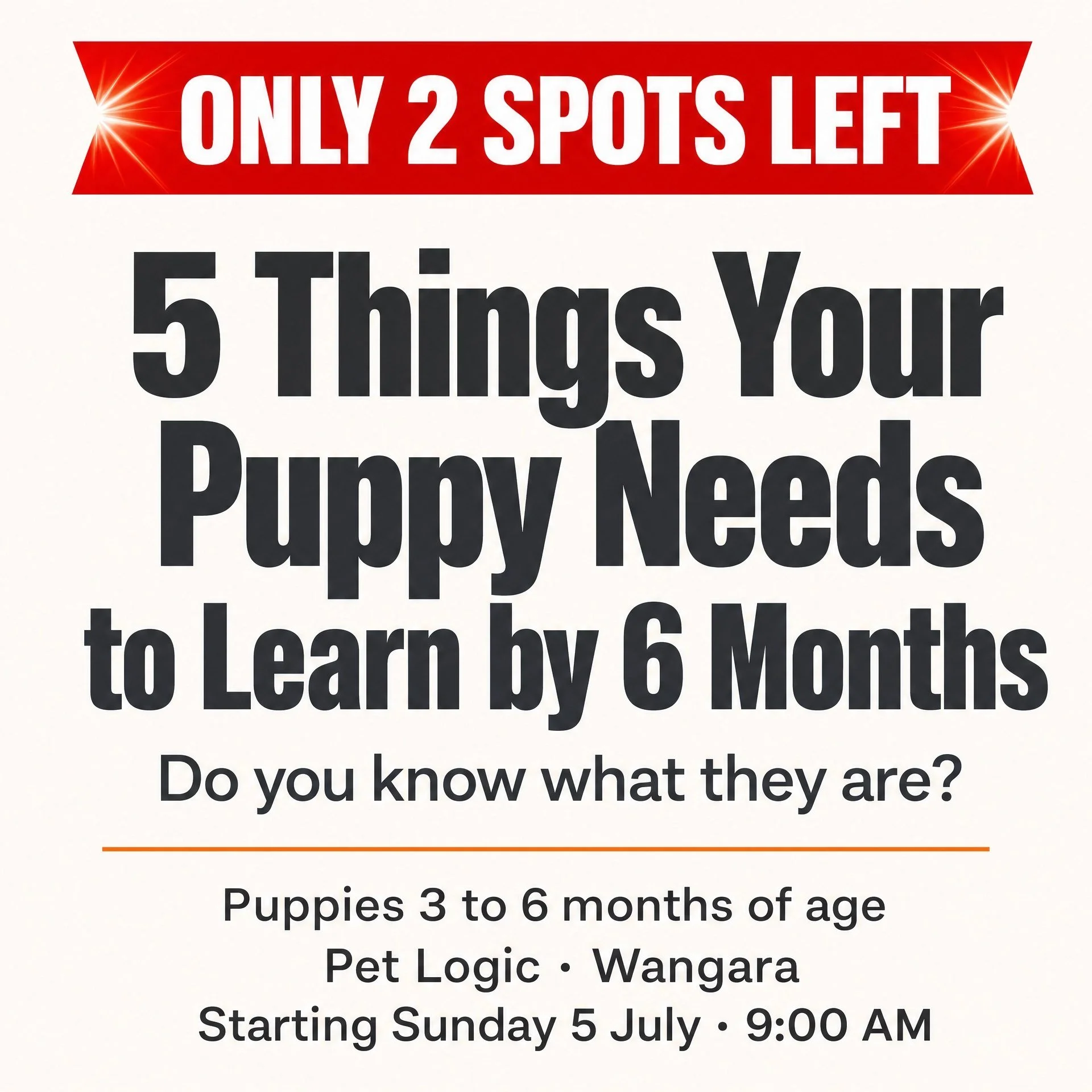 🐾 Only 2 spots left.
There are 5 things every puppy needs to learn before they hit 6 months of age &mdash; and most owners don't find out what they are until problems have already started.
The good news? There's still time.
Puppy Foundations is a sm
