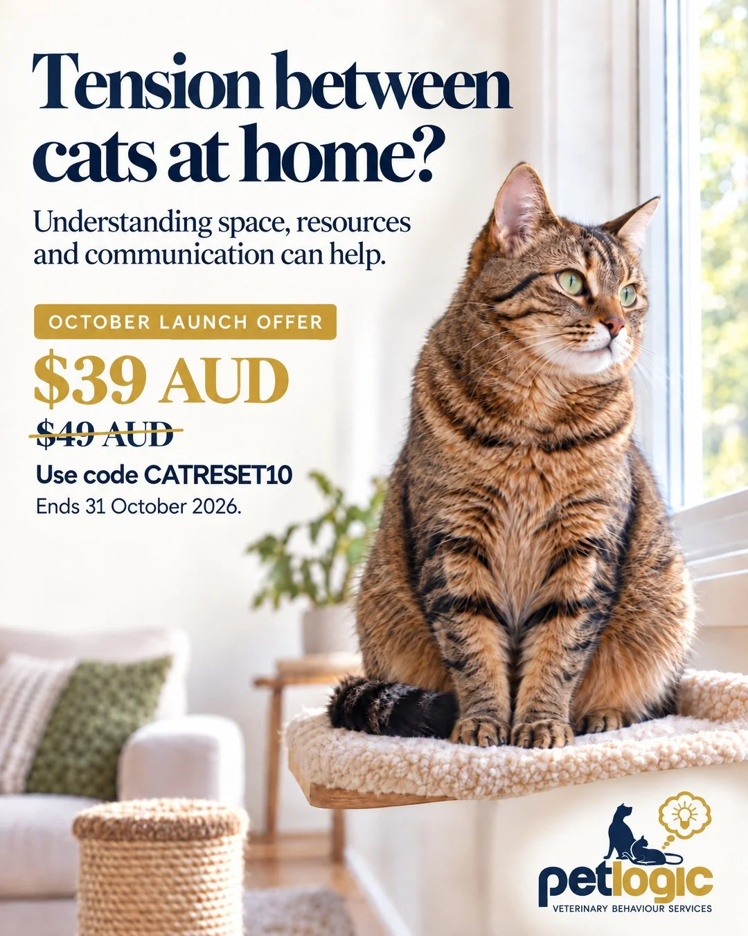 Want to understand the mysteries of your cat better? Having trouble keeping the peace at home?

I would like to introduce my new online course, The Cat Home Reset. This course brings together much of the education I would normally share during a cat 
