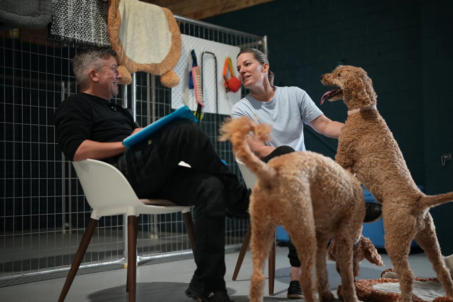 Pet Logic Perth clinic — a calm, purpose-built environment for dogs with anxiety and behaviour problems