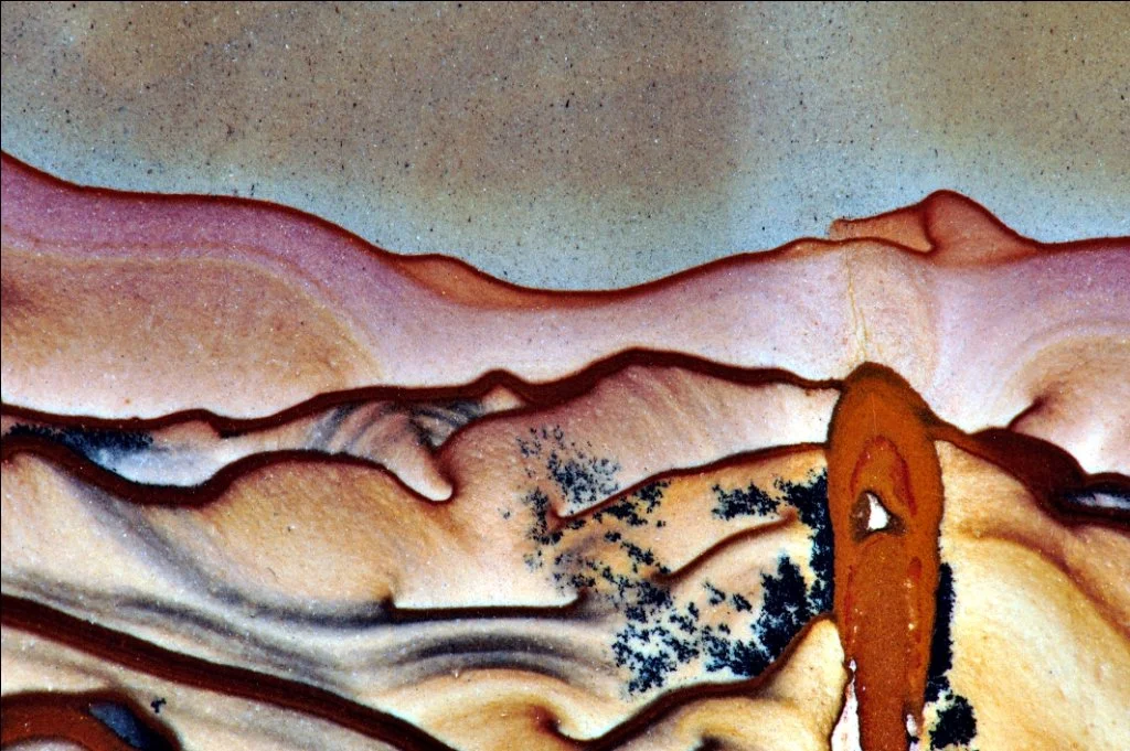 Dune Spirits_ (4).jpg