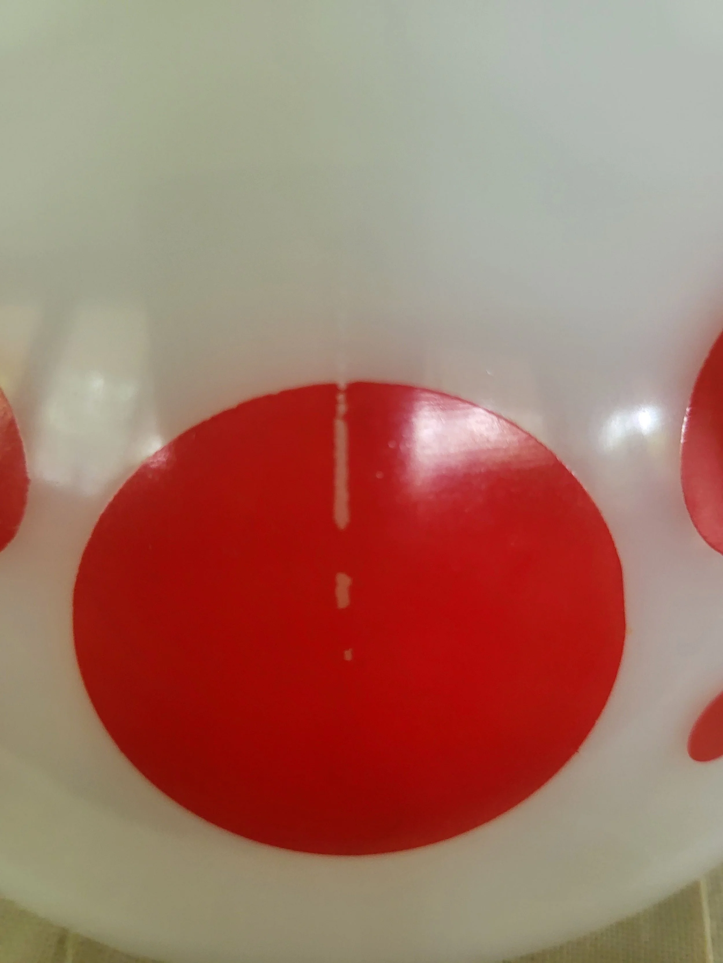 20240126_122529.jpg