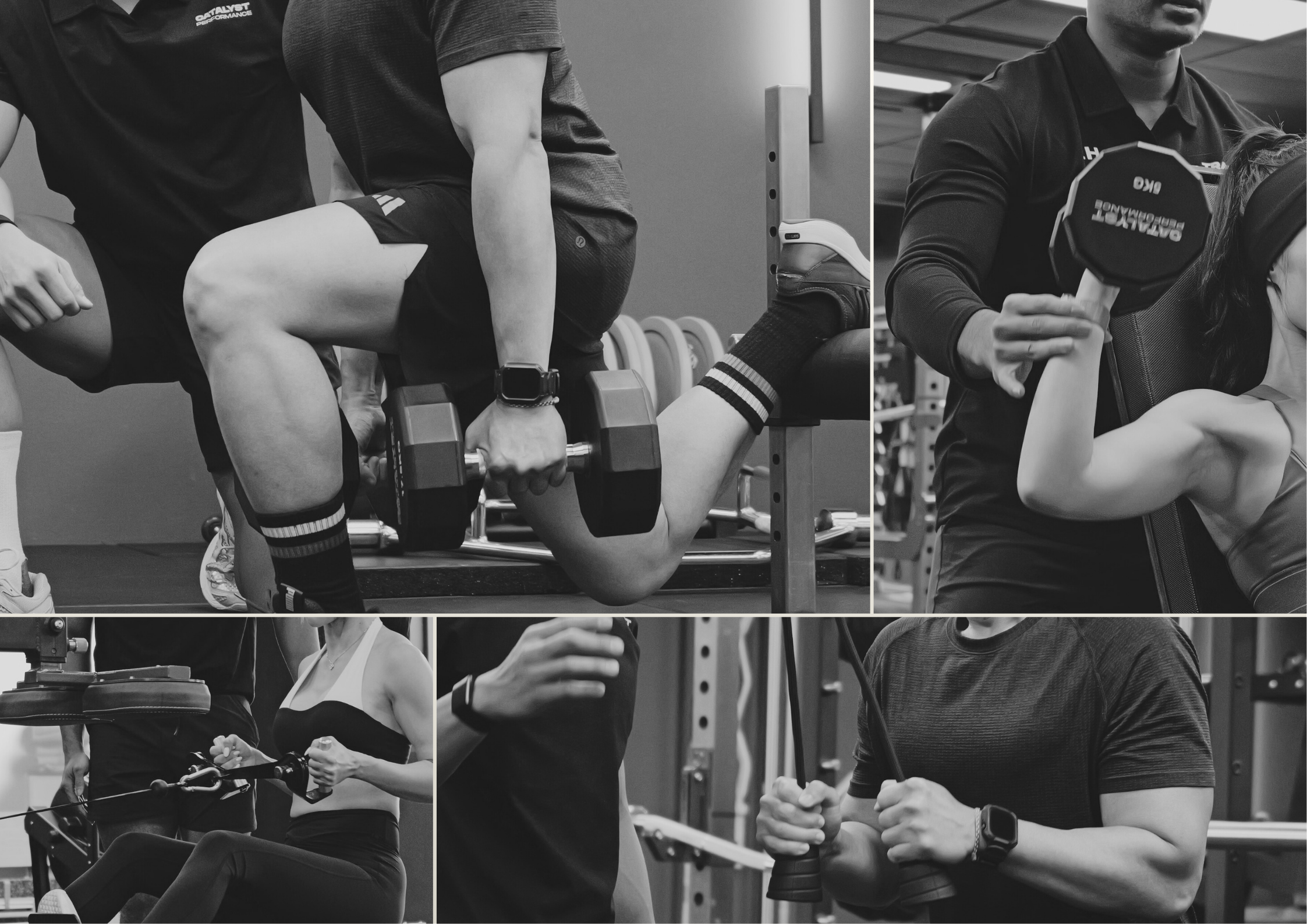 Collage of people engaging in various gym and fitness activities, including a person exercising with a dumbbell, a woman using a cable machine, and individuals performing strength training and cardio workouts.