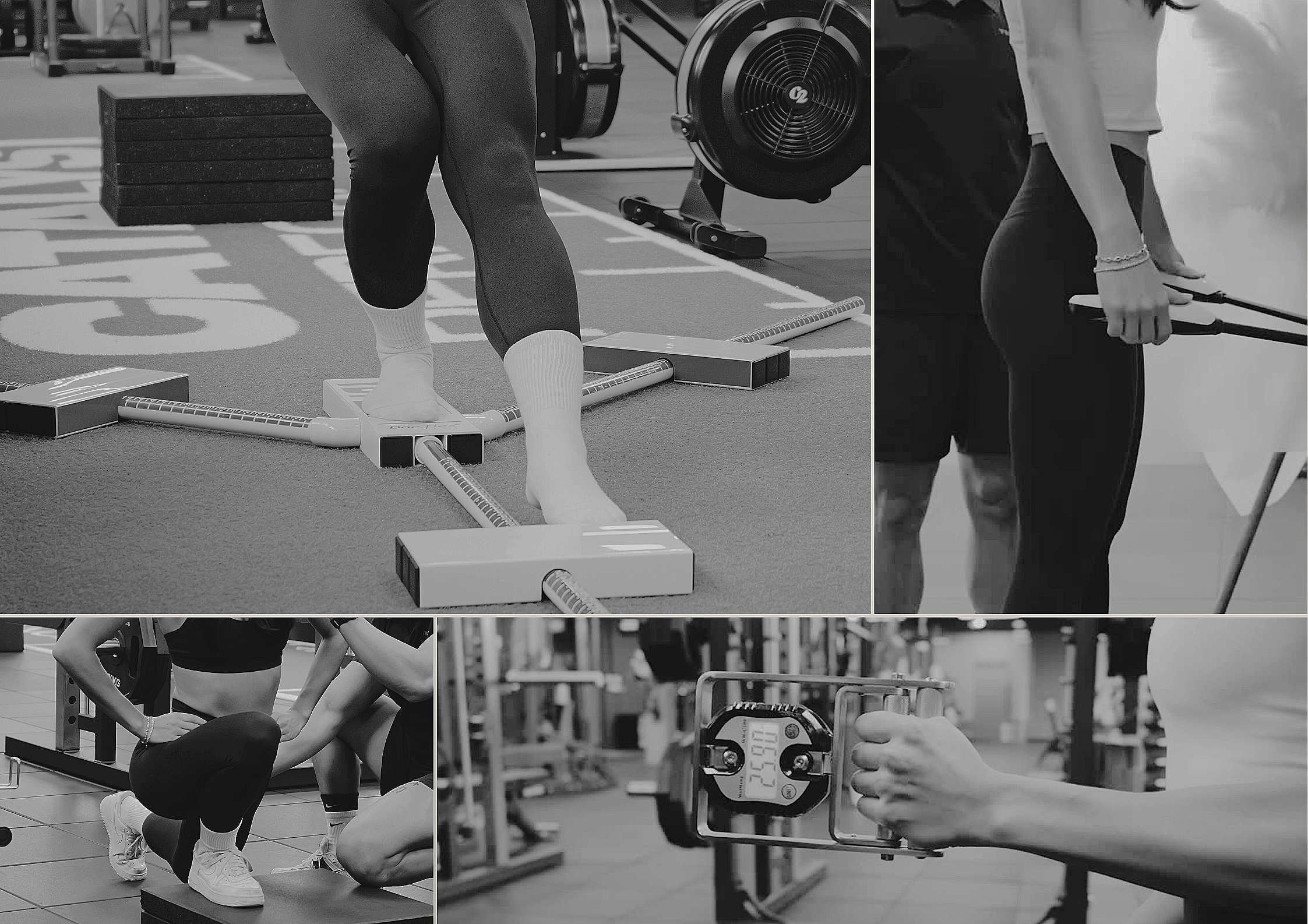 Various scenes of people working out in a gym, including weightlifting, using resistance bands, and performing physical exercises.