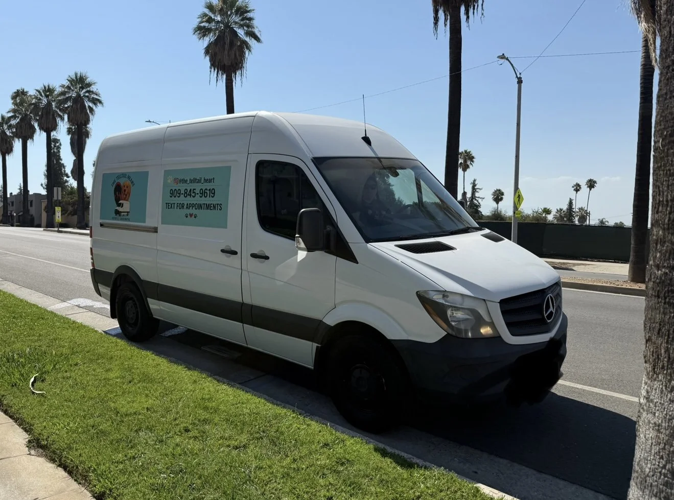 White Mercedes-Benz commercial van parked on the side of the street with palm trees in the background and advertisements on the van for a business that provides appointments through text messages.
