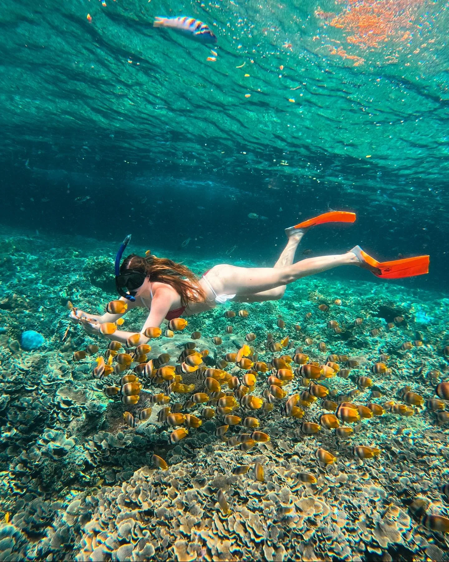 look at me, I AM YOUR MOTHER NOW 🫵🐠
#gilit #gilitrawanganisland #lombok #snorkelling #visitlombok #lomboktrip