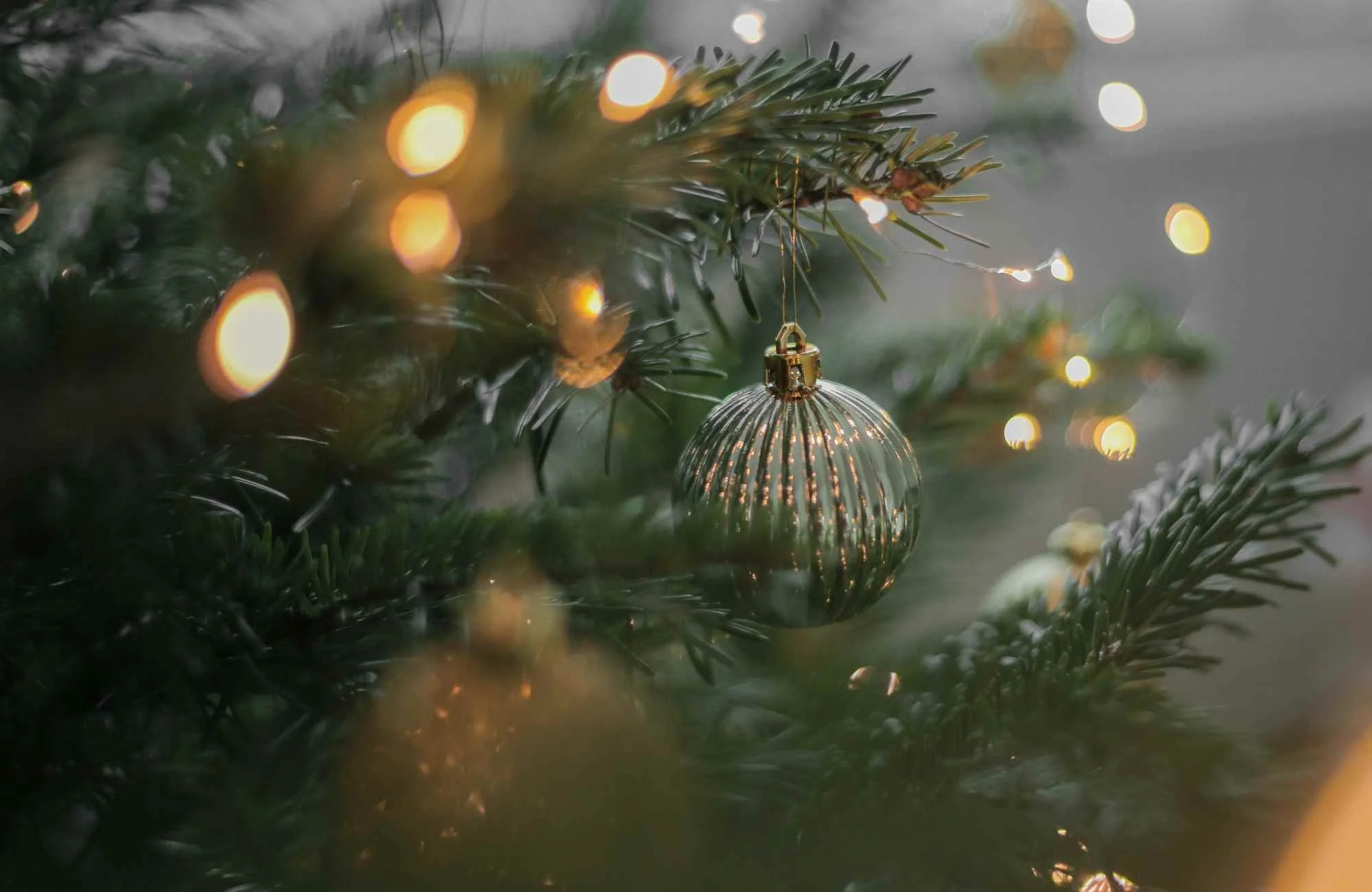 4 Eco-Friendly Holiday Decorating Ideas