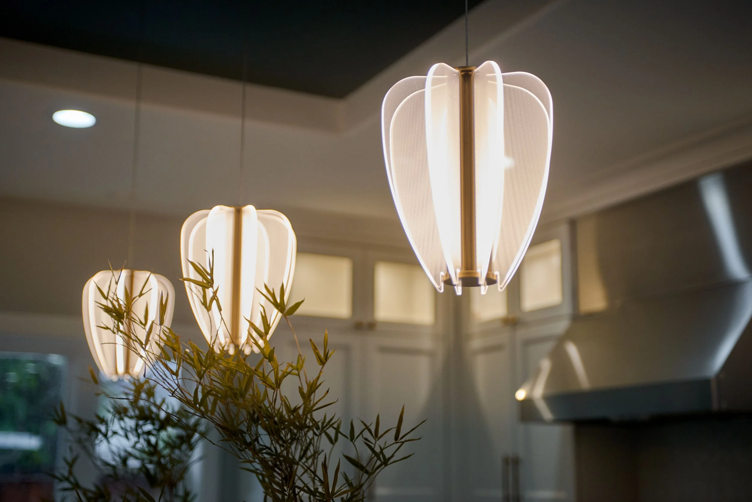 Lighting Design by Raashi Design in Pleasanton, CA (3).jpg