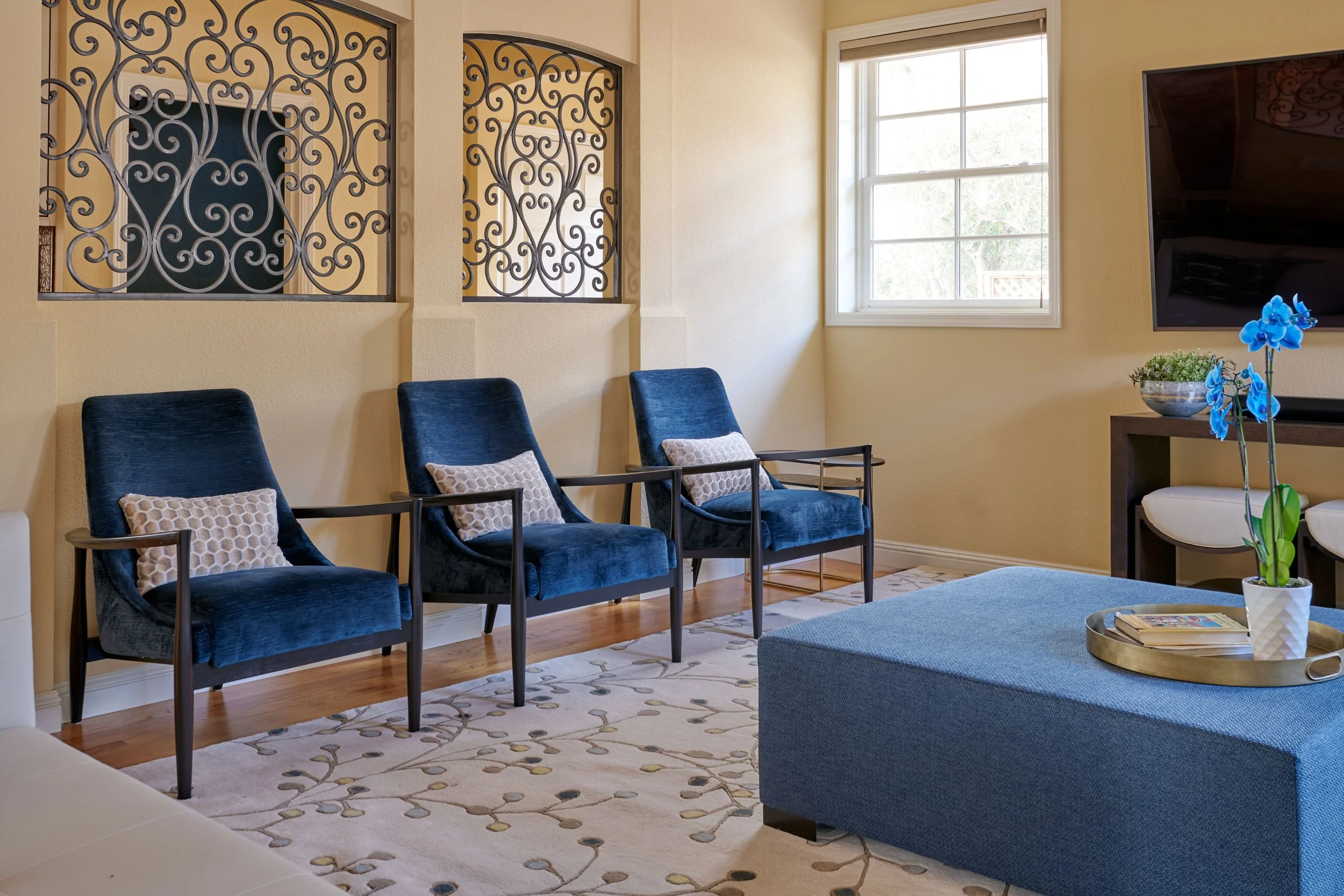 Living Room Interior Design by Raashi Design in Fremont, CA (8).jpg