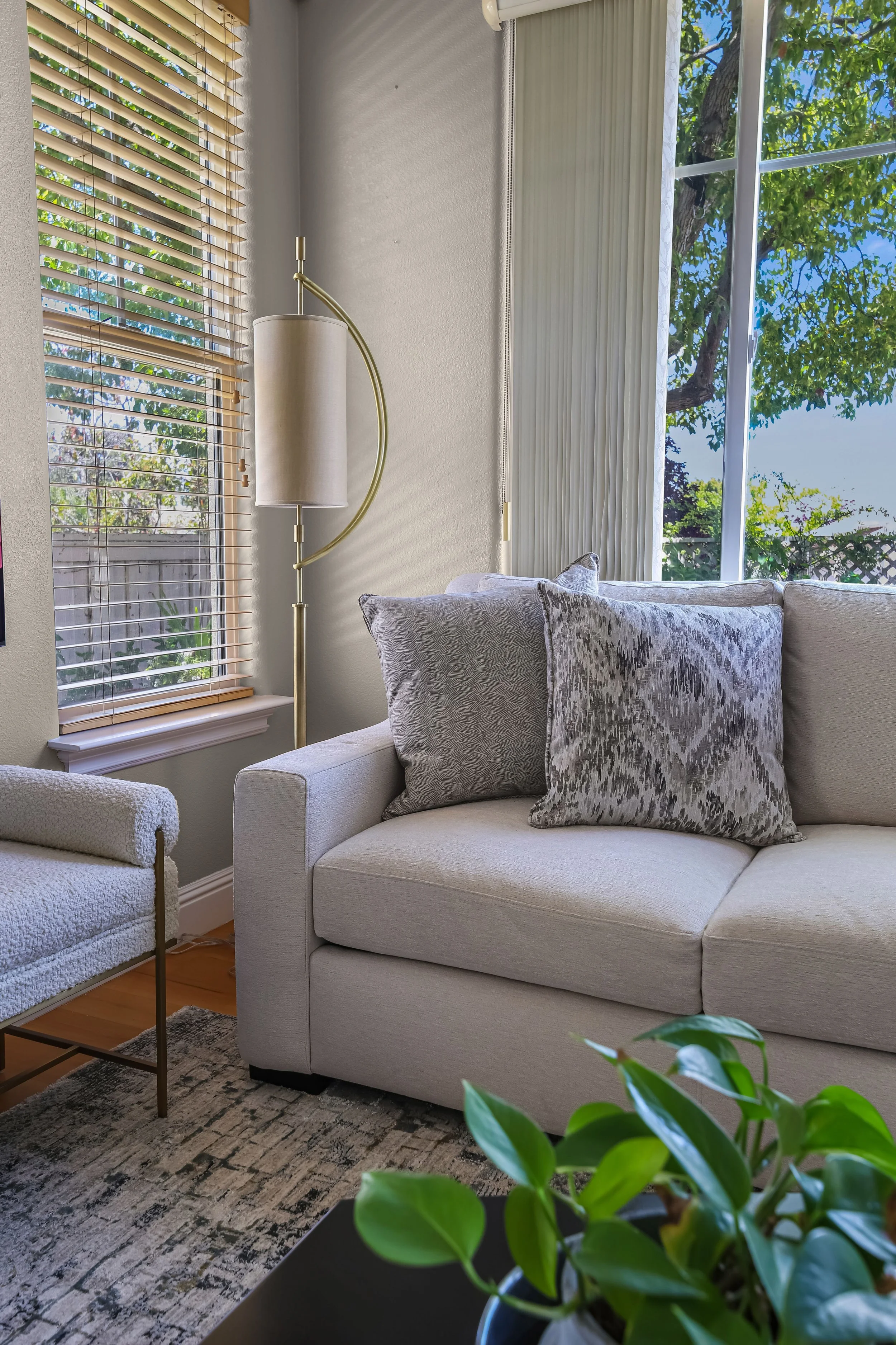Living Room Interior Design by Raashi Design in Fremont, CA (11).jpg
