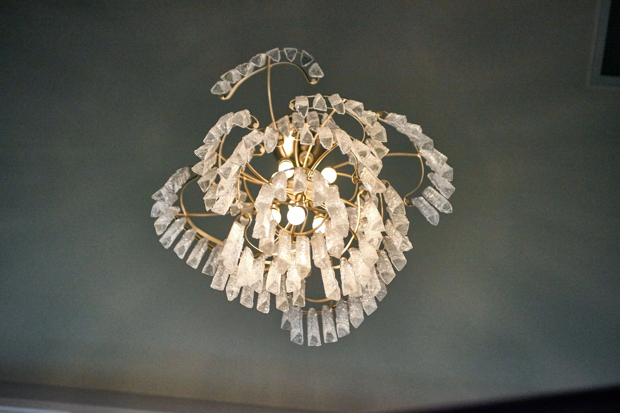 Lighting Design by Raashi Design in Pleasanton, CA (2).jpg