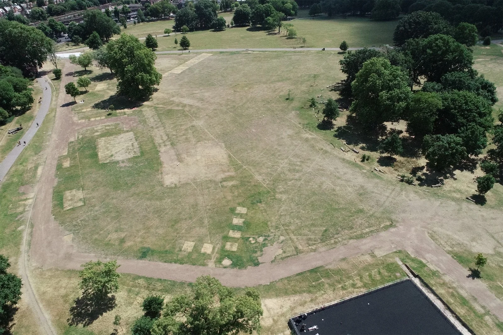Public park showing grass damage after outdoor event, Agrostis site restoration advice