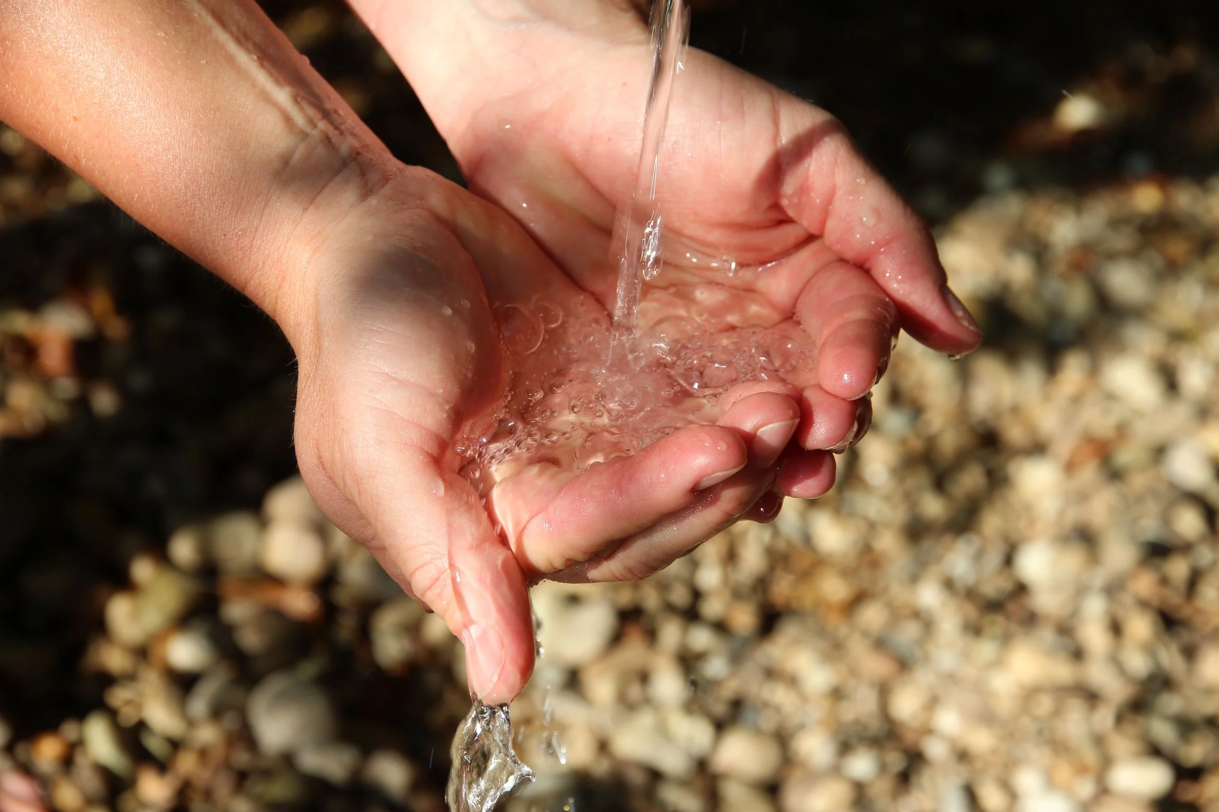 Die weibliche Lebensmitte, warum unser Körper plötzlich mehr Unterstützung braucht…