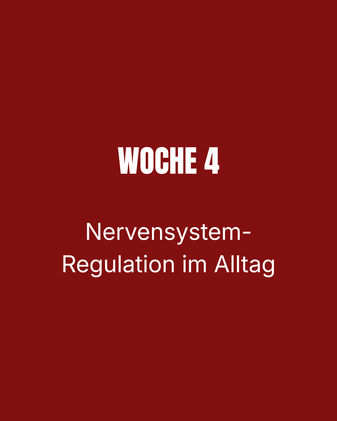 Sensitive Strength Journey / 1:1 Intensiv-Begleitung: "Woche 4, Nervensystem-Regulation im Alltag"