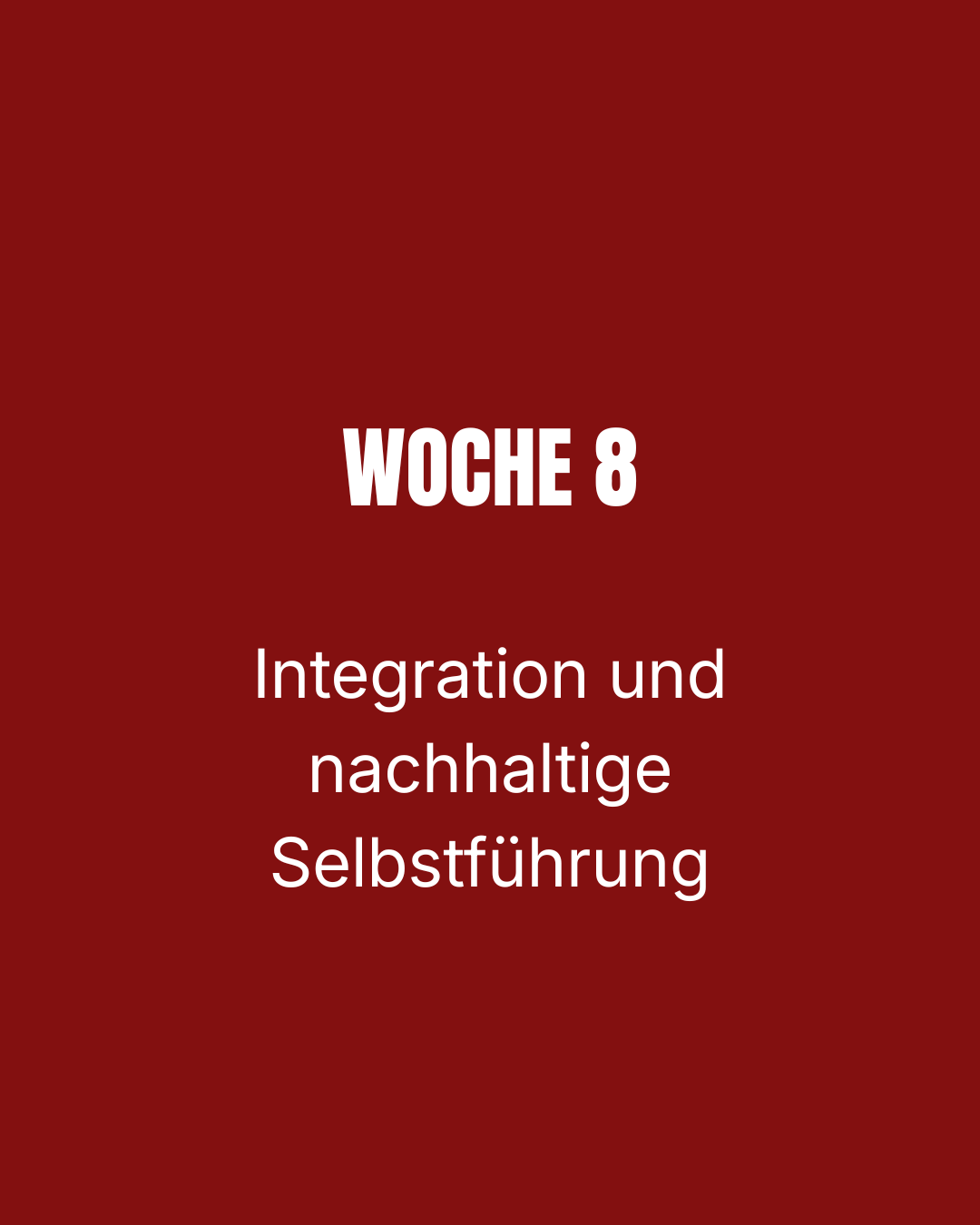 Sensitive Strength Journey / 1:1 Intensiv-Begleitung: 'Woche 8: Integration und nachhaltige Selbstführung"