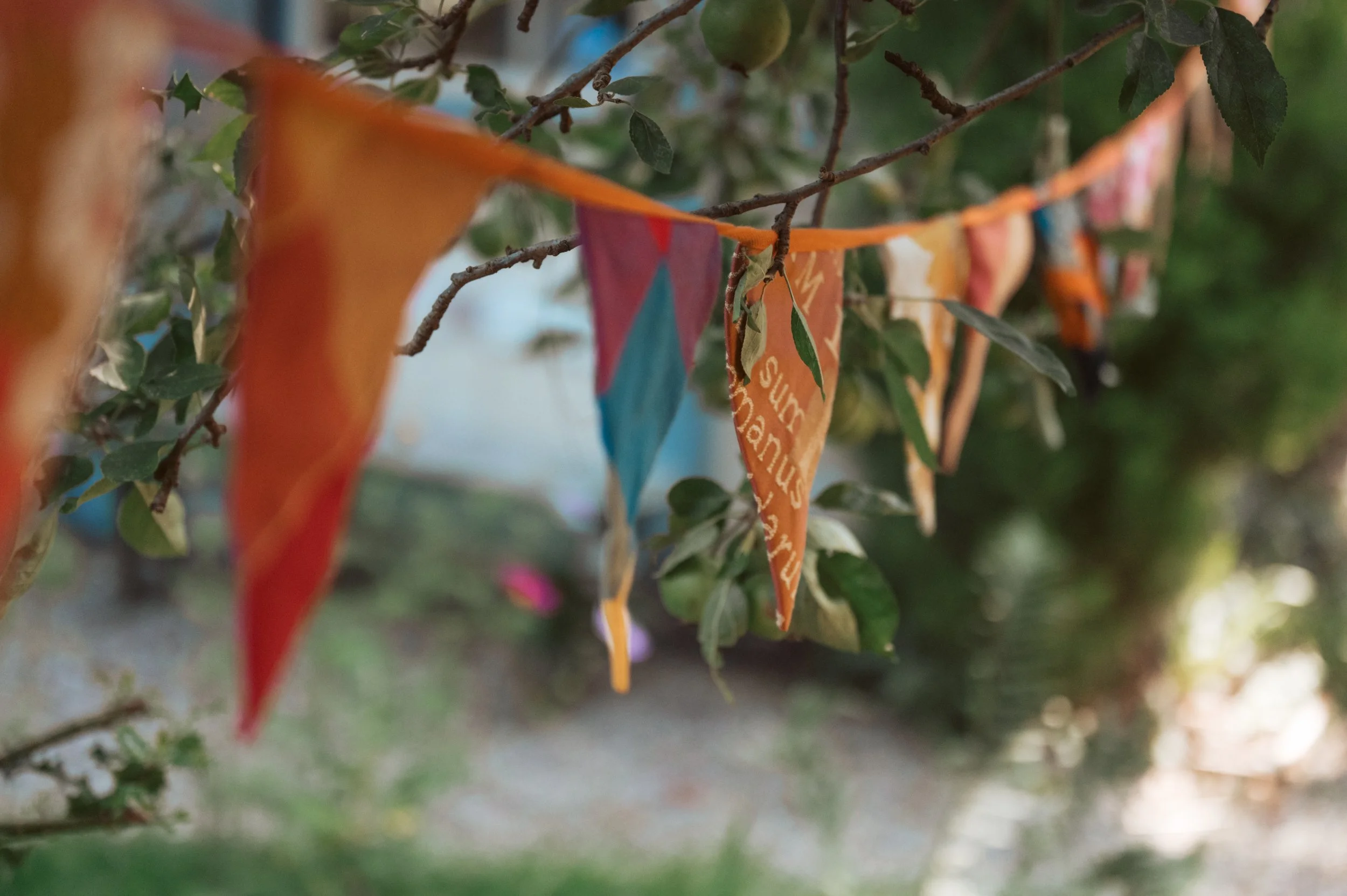 Colorful prayer flags hanging from tree branches in an outdoor setting.