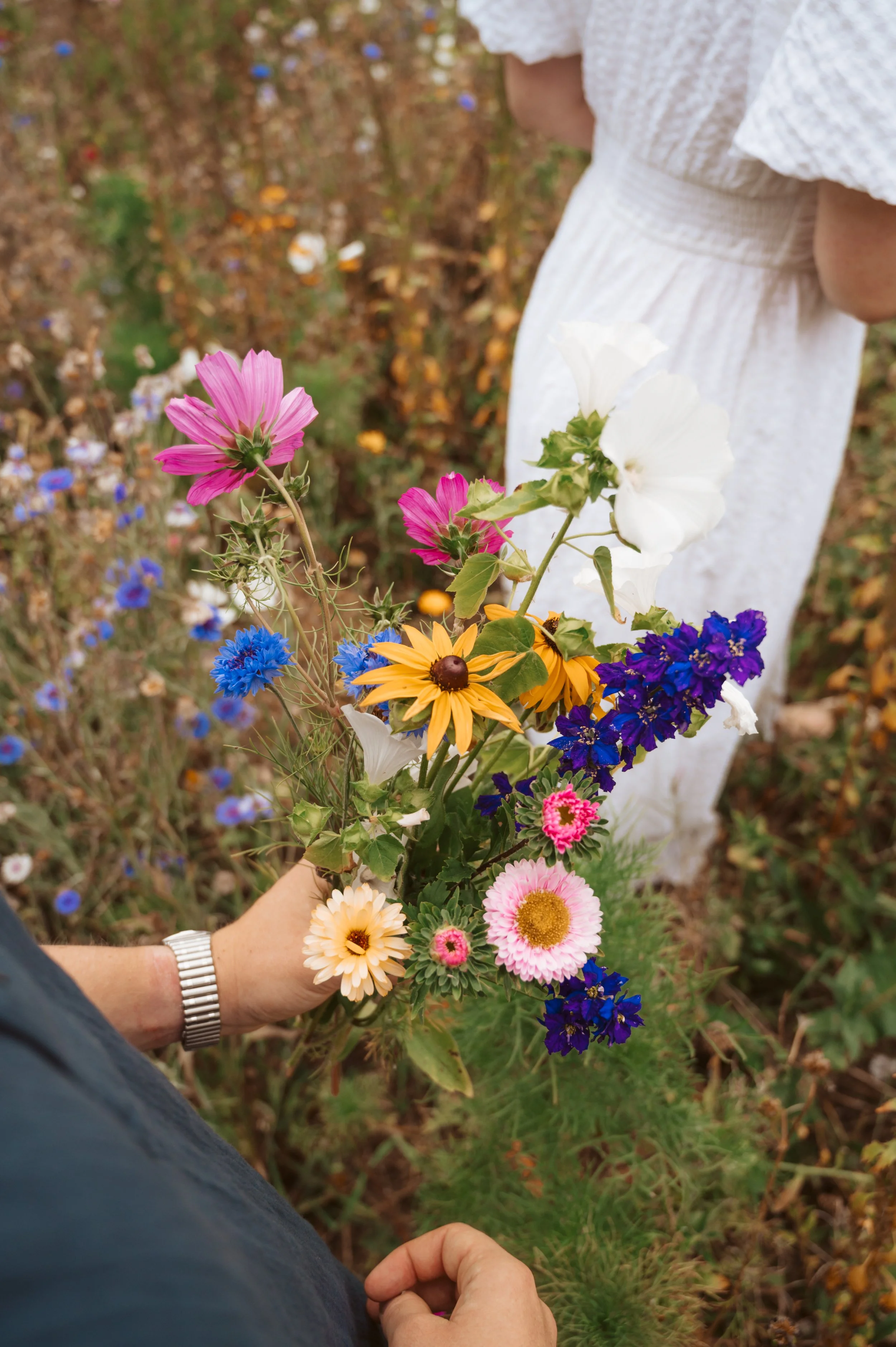 Person holding a colorful bouquet of flowers including pink, yellow, white, purple, and blue blooms in a garden with similar flowers in the background.