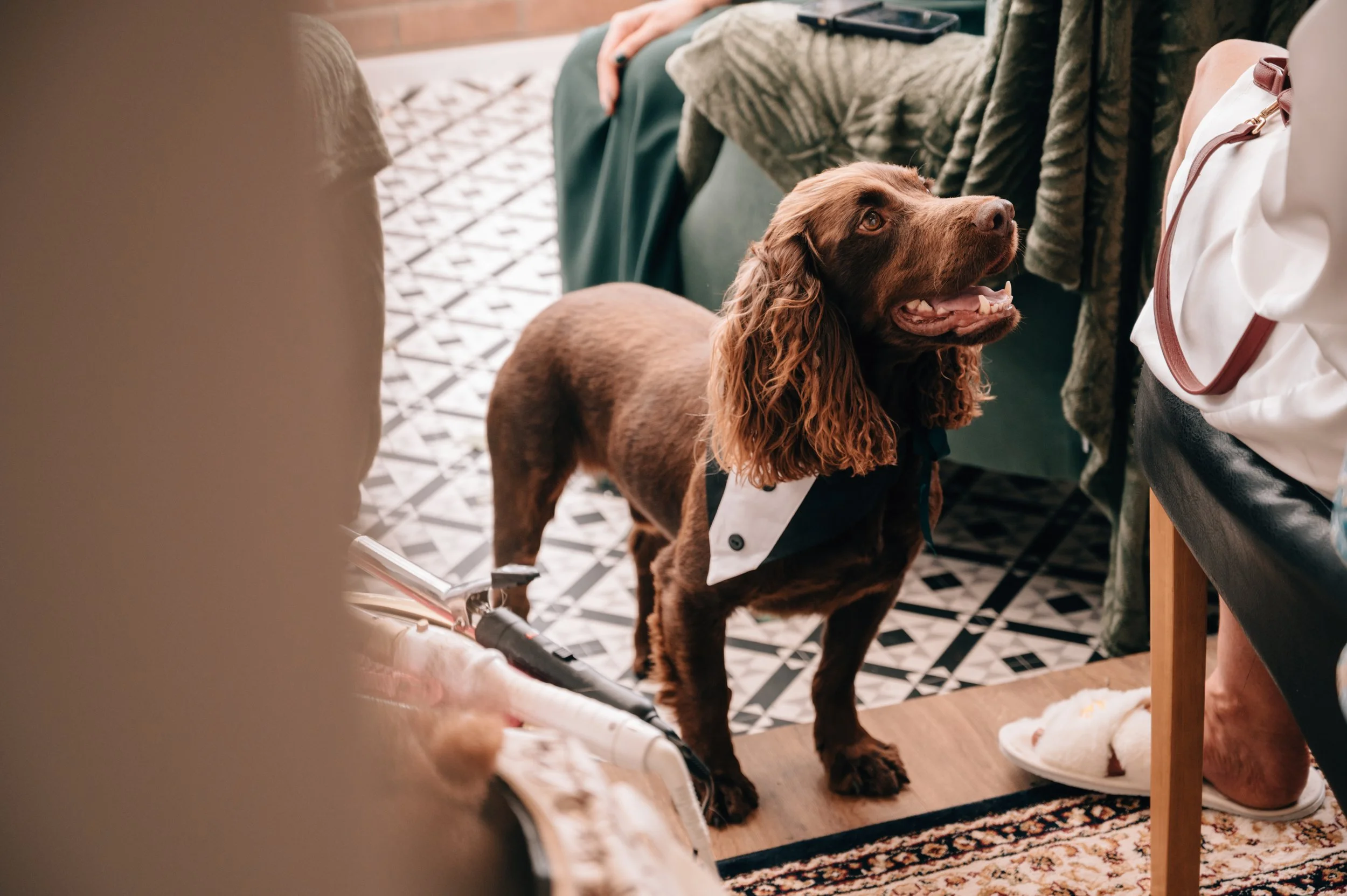 The 'Half Day' Collection