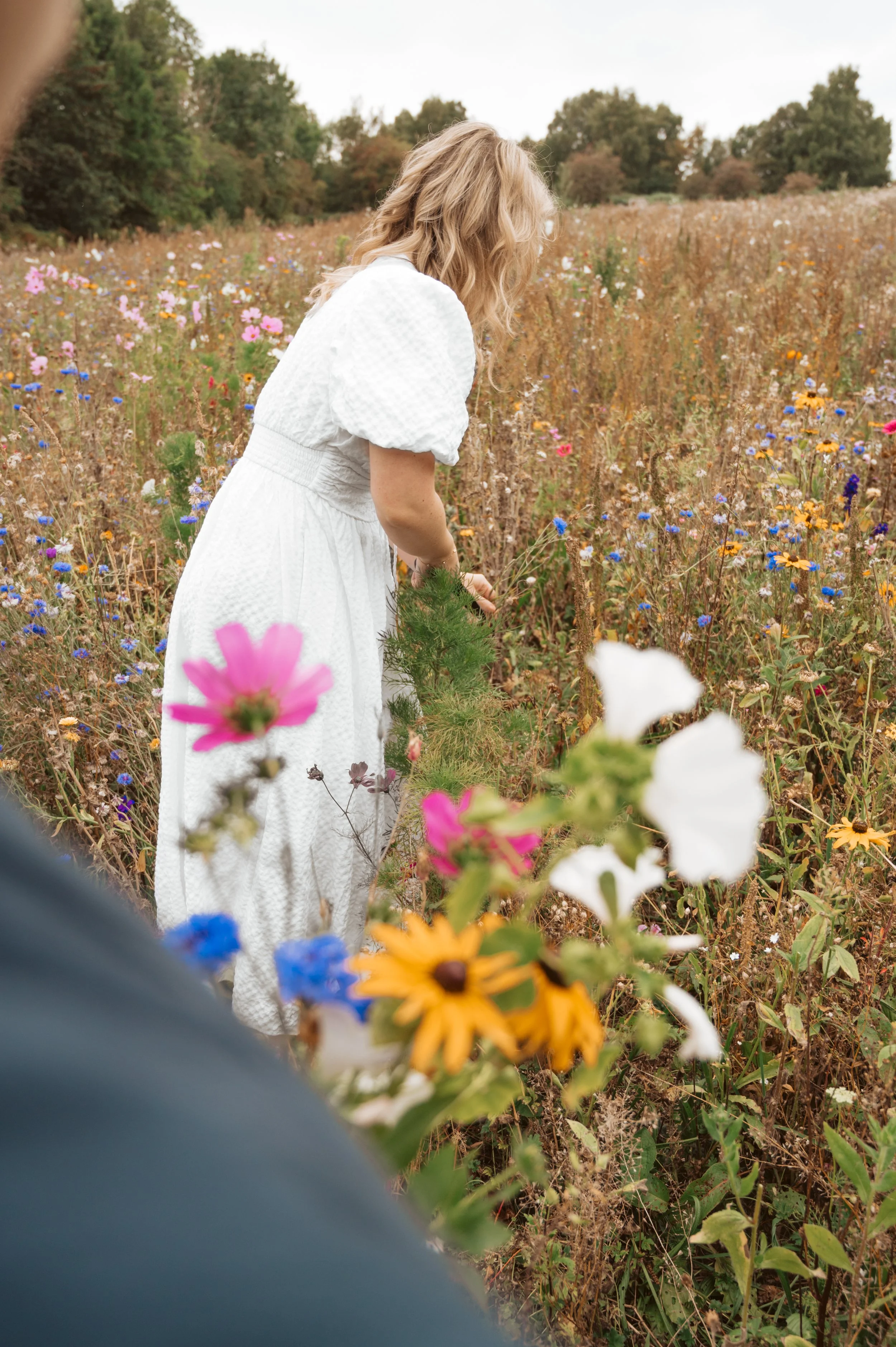 A woman in a white dress picking flowers in a wildflower field.