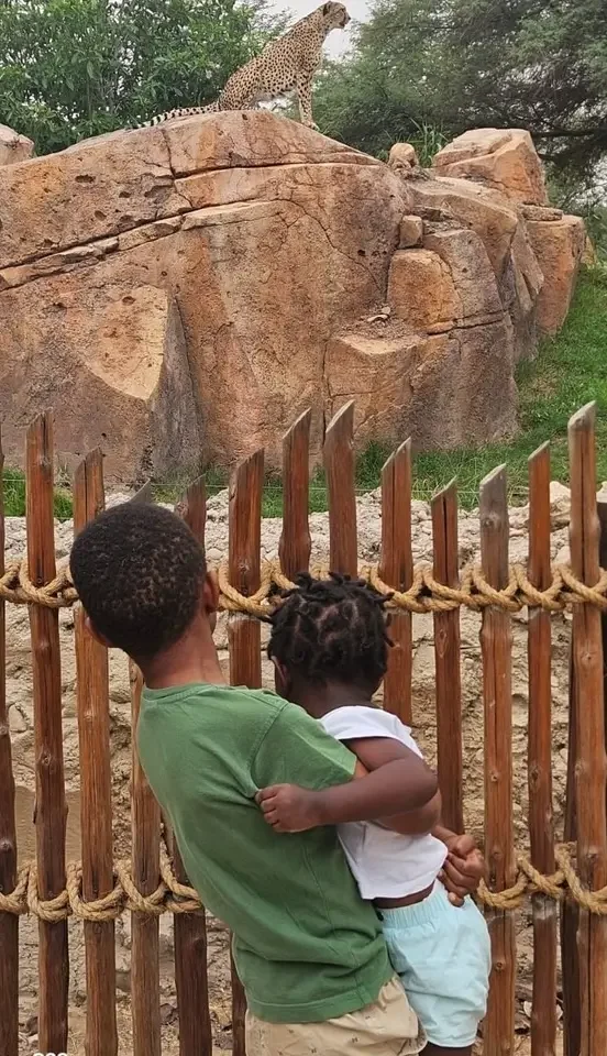 Des enfants debout derrière une clôture en bois, observant un guépard perché sur un gros rocher dans l'enclos d'un zoo. Ce sont les enfants d'Ingrid Francisque, fondatrice d'Afrobudgetingirl.