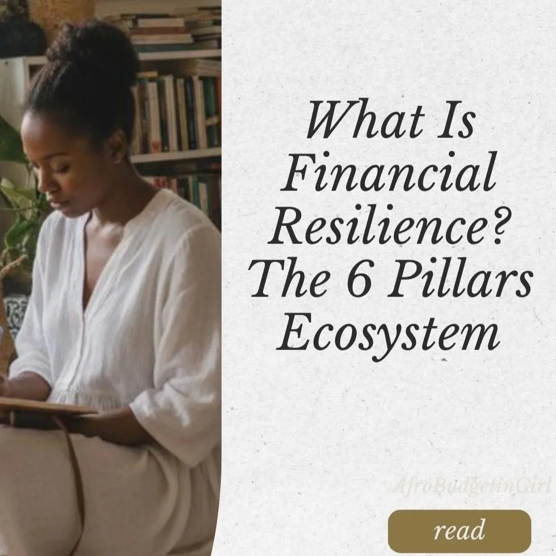 What Is Financial Resilience? The 6 Pillars Ecosystem
