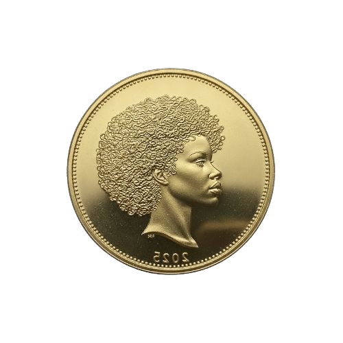 AfroBudgetinGirl