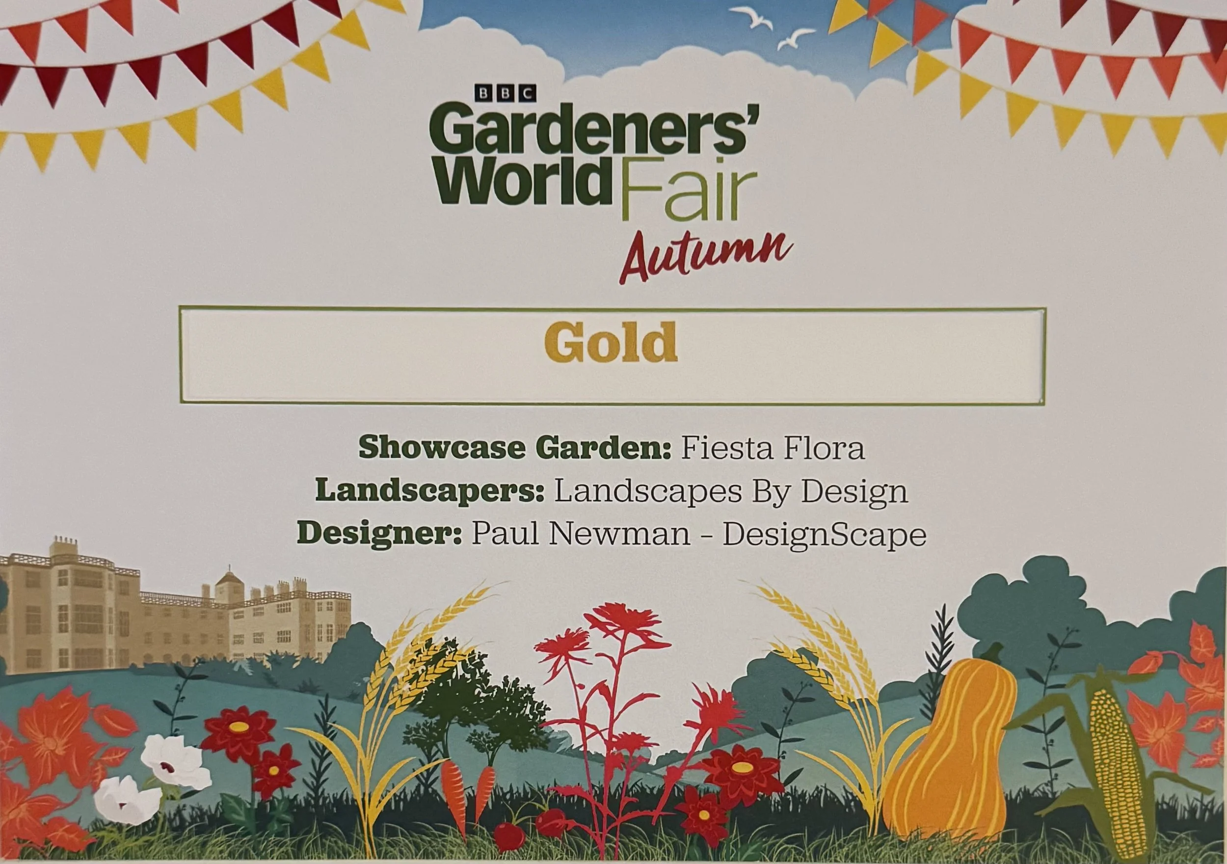 gold medal certificate