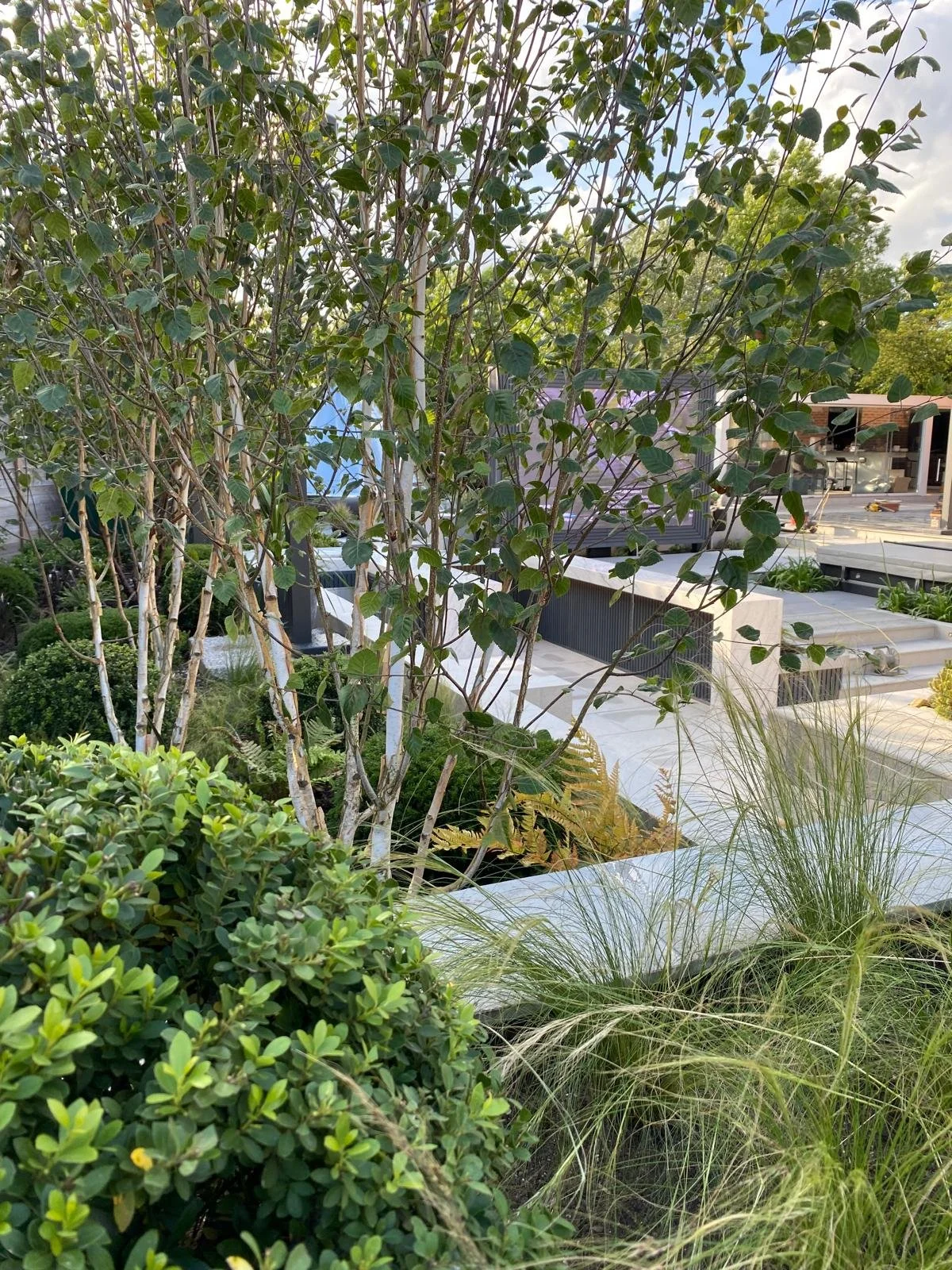 view through planting