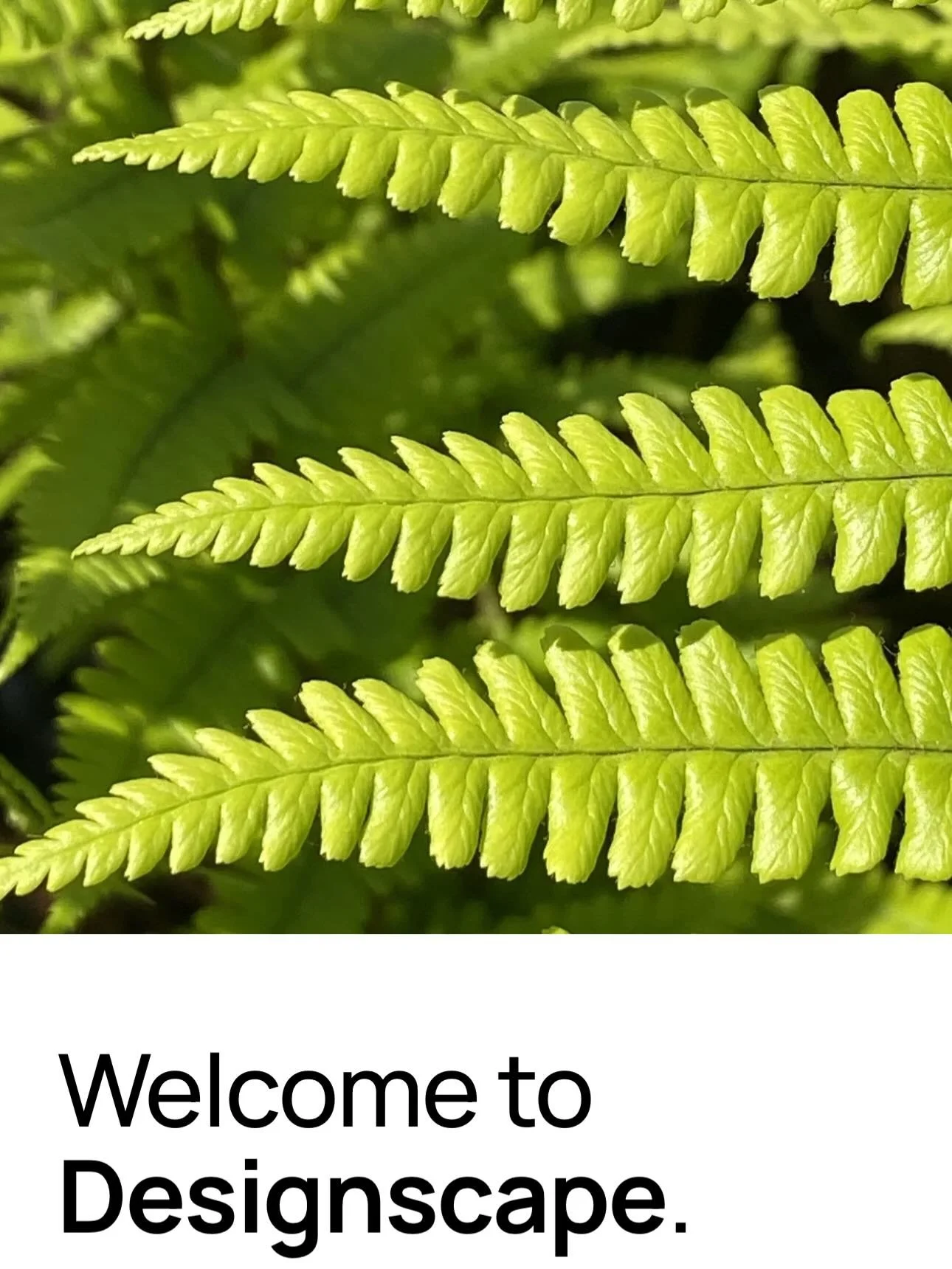 A few screenshots from our new website. Go check it out via the link in our bio. Now is a great time to plan your new garden for outside enjoyment later this year.